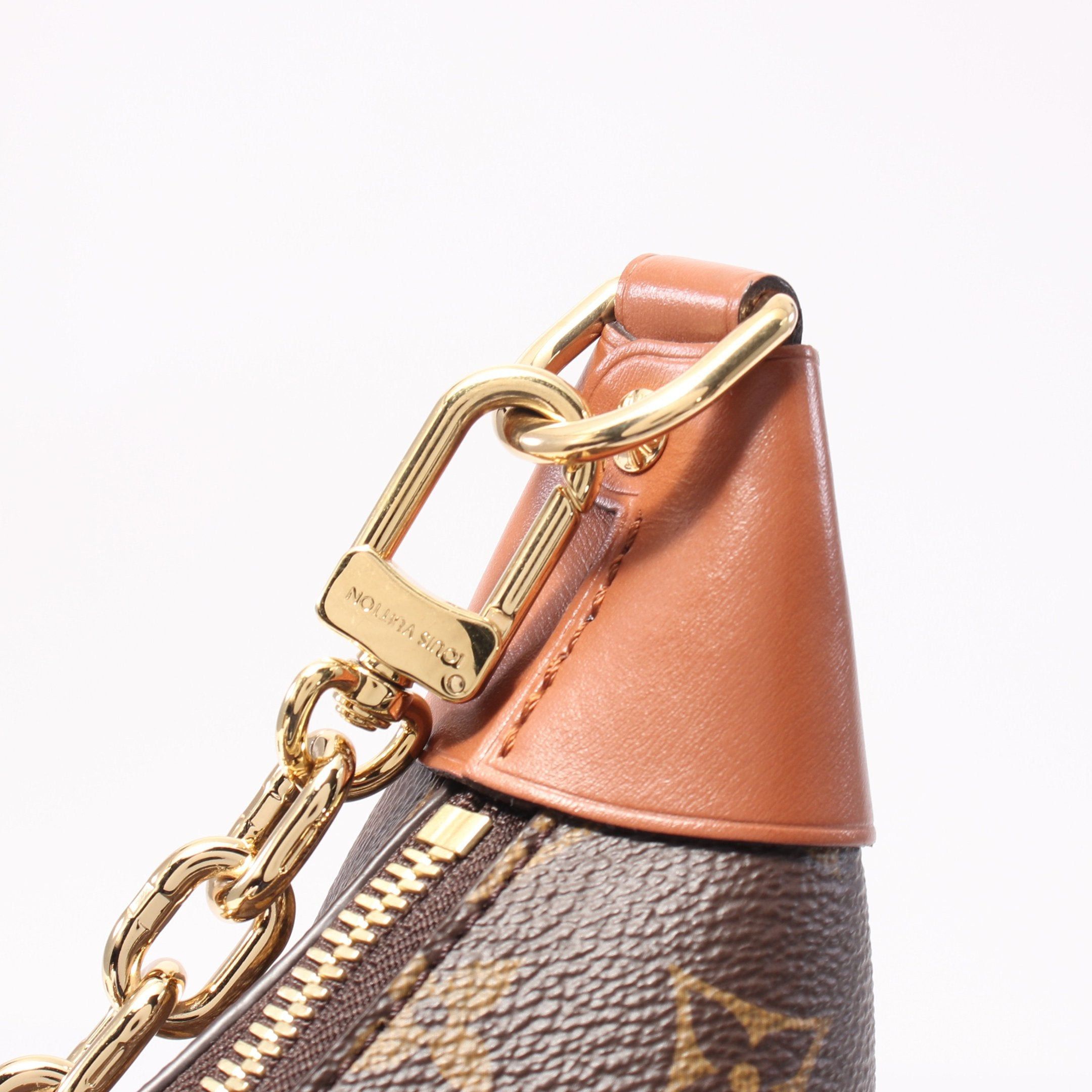 Louis Vuitton Louis Vuitton Loop Hobo Monogram Reverse Chain Shoulder Bag Leather Brown Light Size ONE SIZE - 7 Thumbnail