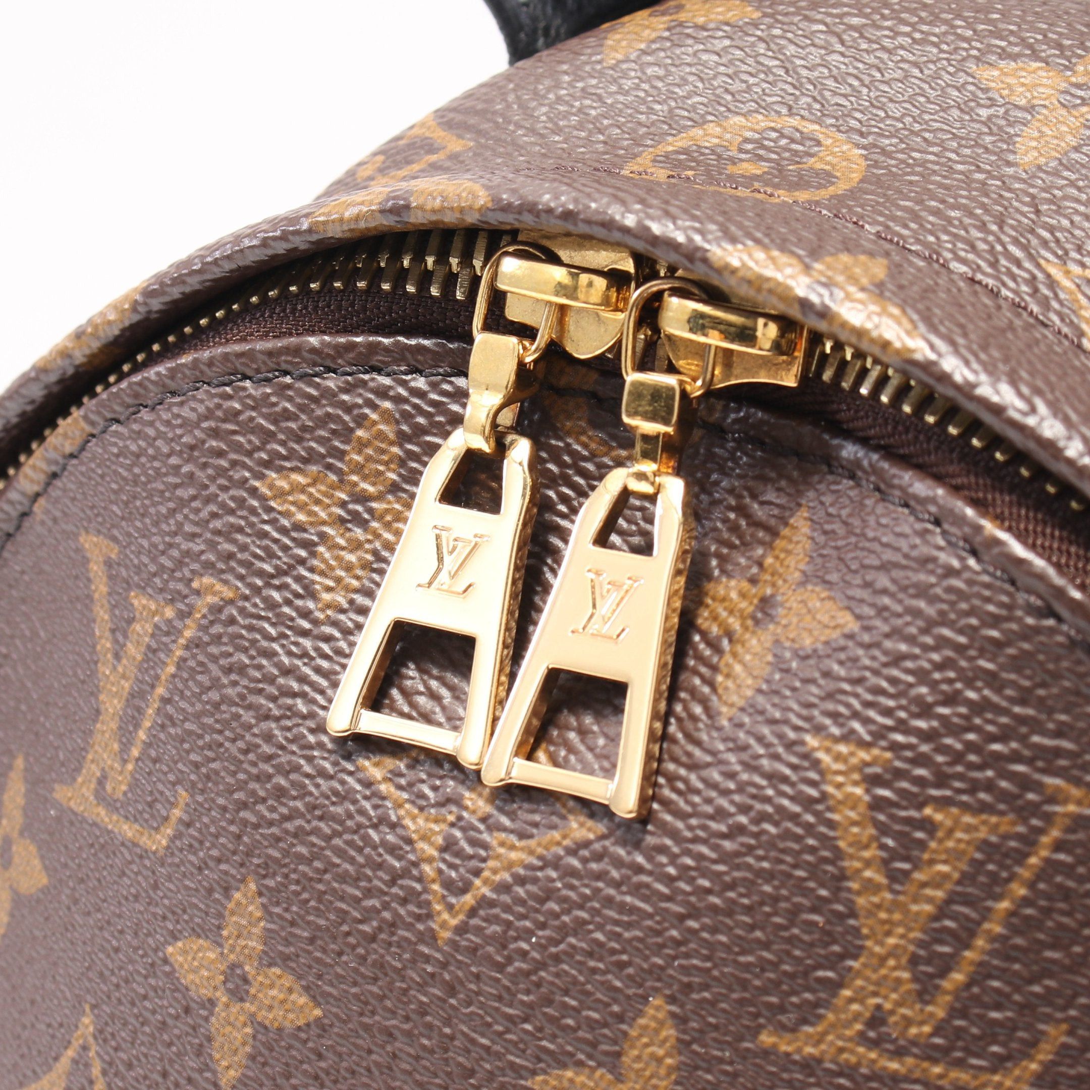 Louis Vuitton Louis Vuitton Palm Springs Pm Monogram Backpack Rucksack Leather Brown Black Size ONE SIZE - 8 Thumbnail