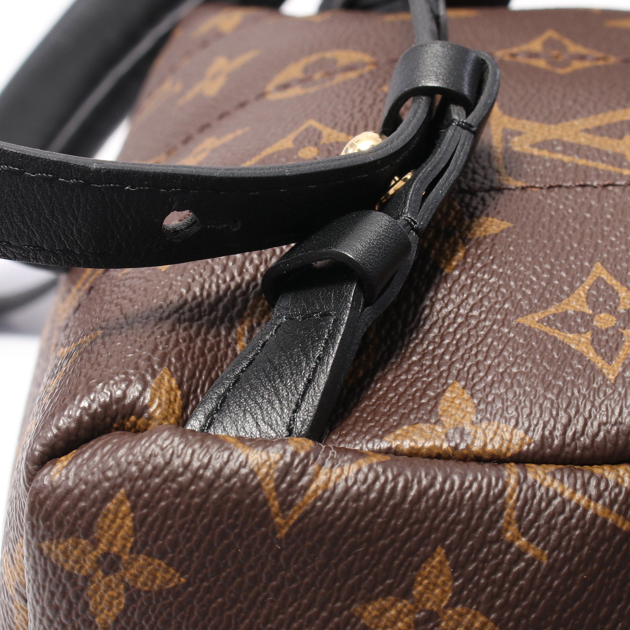 Louis Vuitton Louis Vuitton Palm Springs Pm Monogram Backpack Rucksack Leather Brown Black Size ONE SIZE - 7 Thumbnail