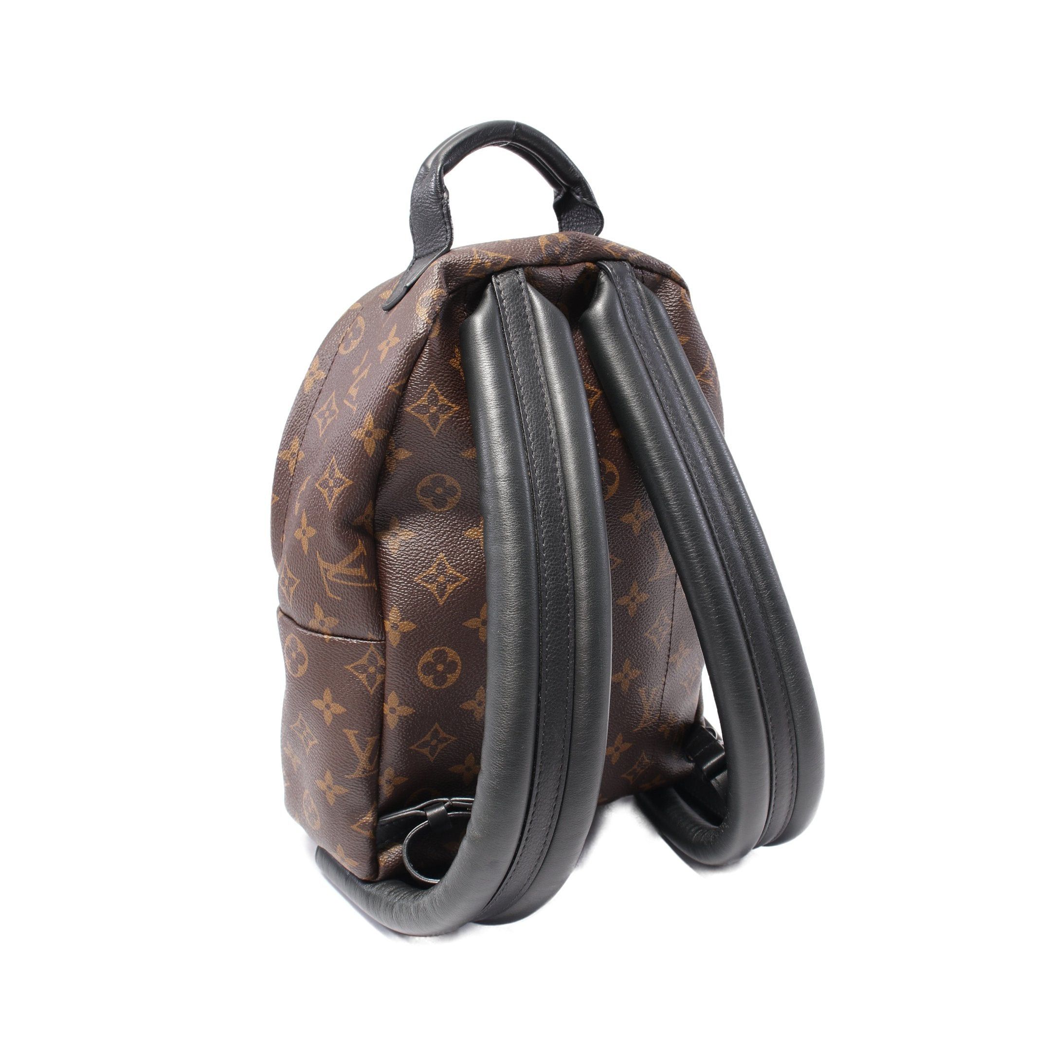 Louis Vuitton Louis Vuitton Palm Springs Pm Monogram Backpack Rucksack Leather Brown Black Size ONE SIZE - 2 Thumbnail