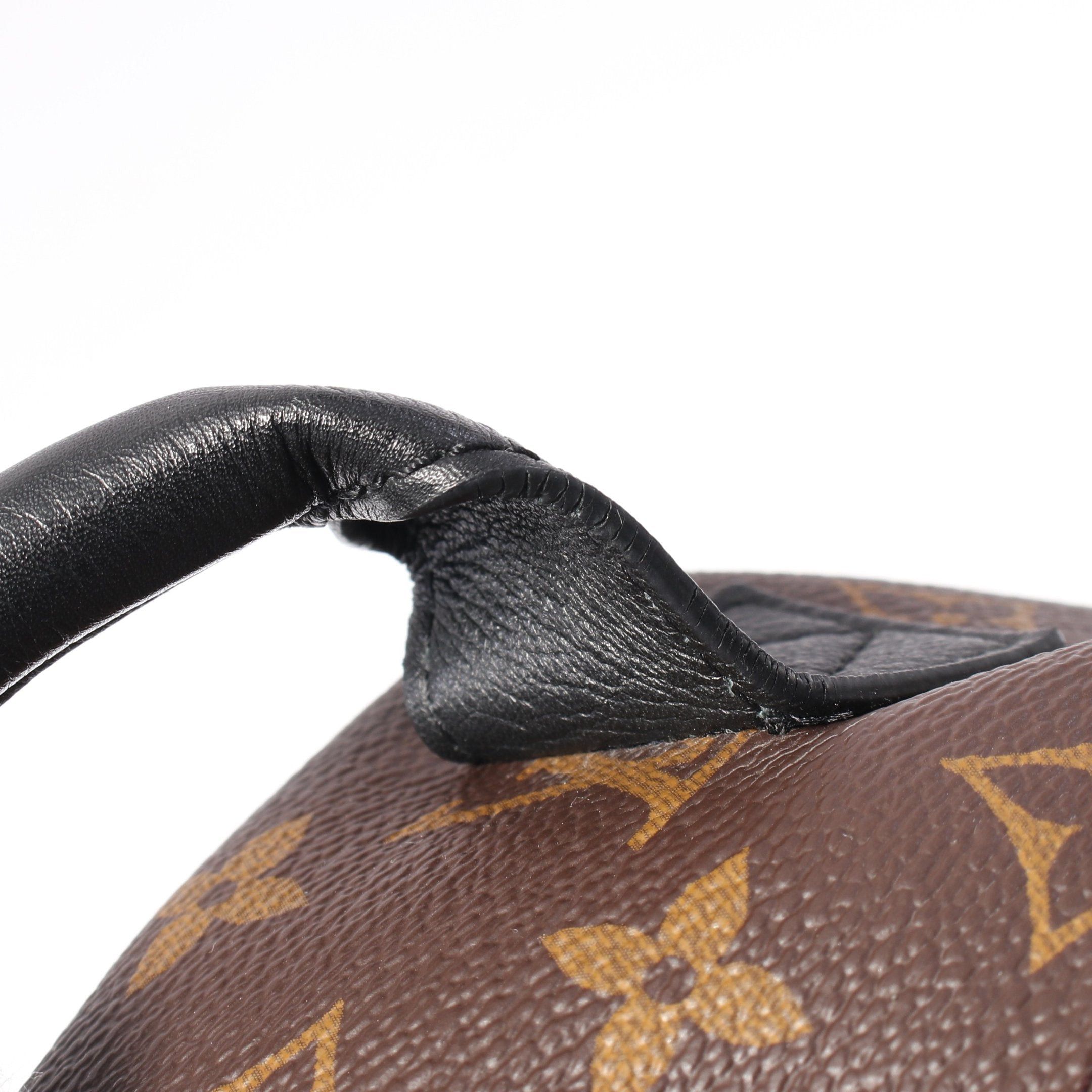 Louis Vuitton Louis Vuitton Palm Springs Pm Monogram Backpack Rucksack Leather Brown Black Size ONE SIZE - 10 Thumbnail