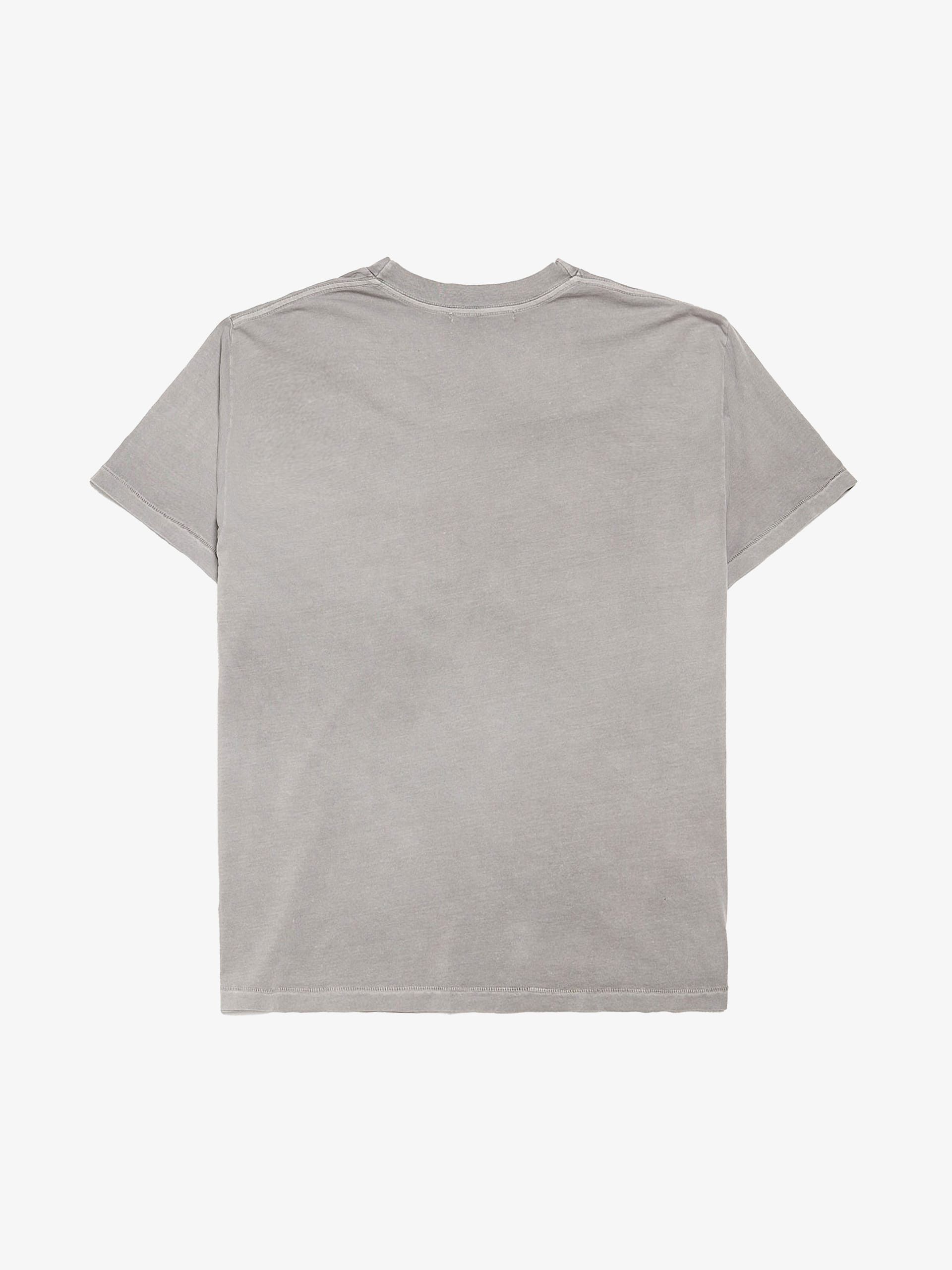 ALEXANDER DIGENOVA Gray Boxy Skins Logo Printed Cotton T