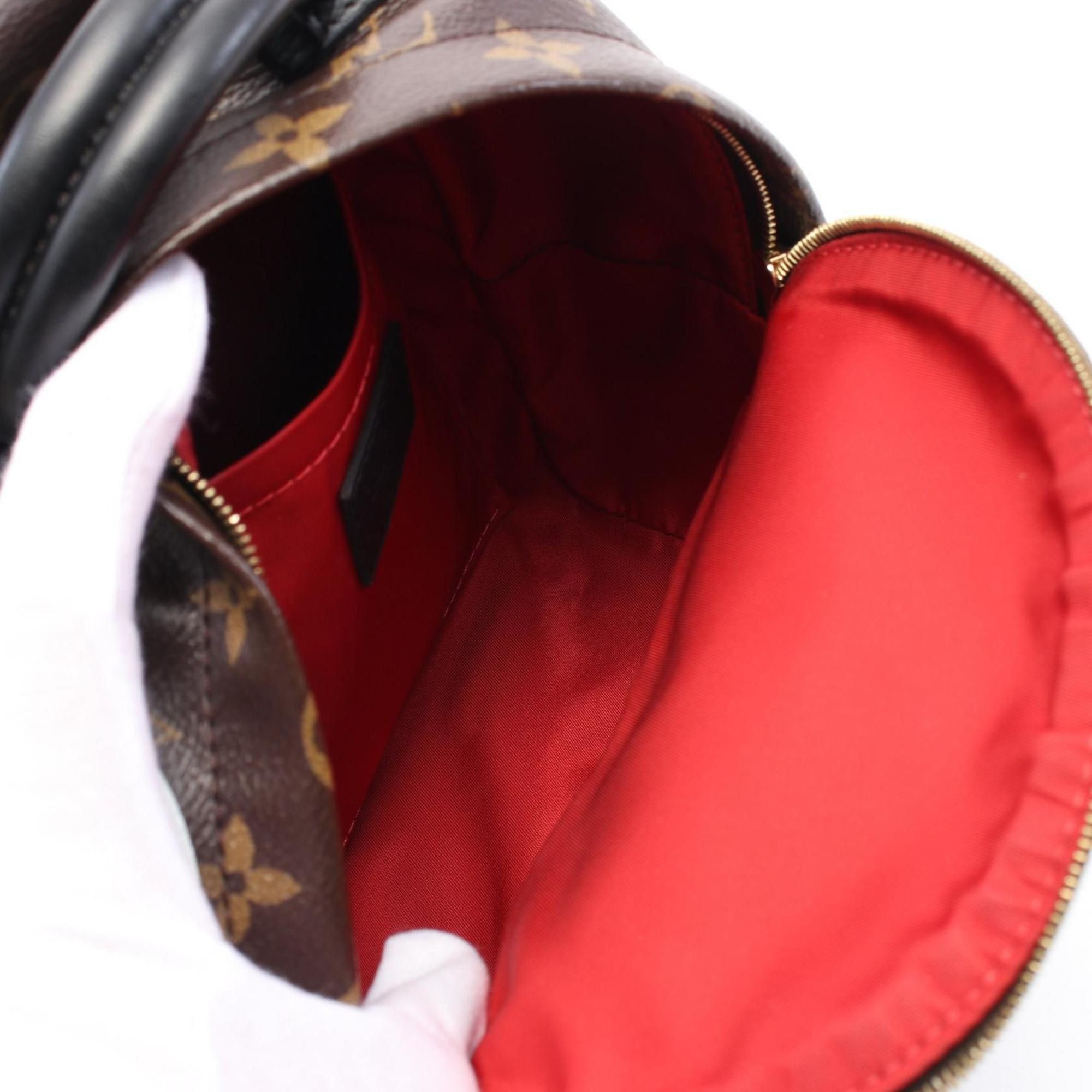 Louis Vuitton Louis Vuitton Palm Springs mini backpack Size ONE SIZE - 5 Thumbnail