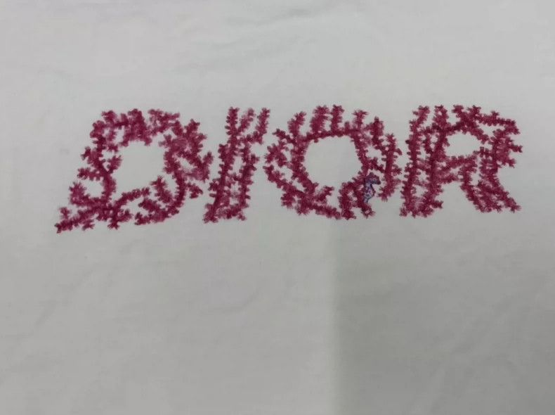 Dior Dior Logo Print Loose T-Shirt-yf Size US XL / EU 56 / 4 - 3 Thumbnail