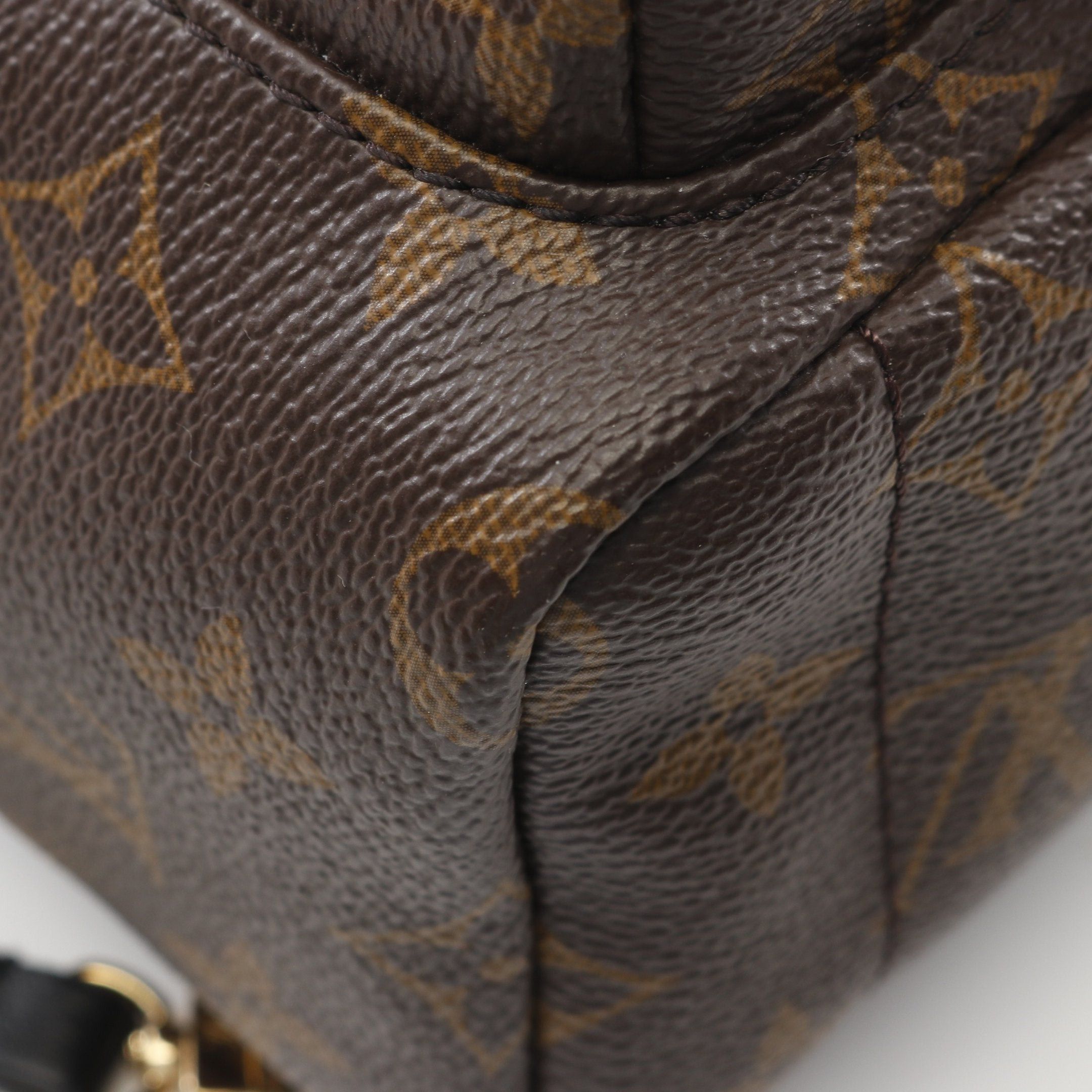 Louis Vuitton Palm Springs Backpack Mini Monogram Rucksack Leather Brown Black