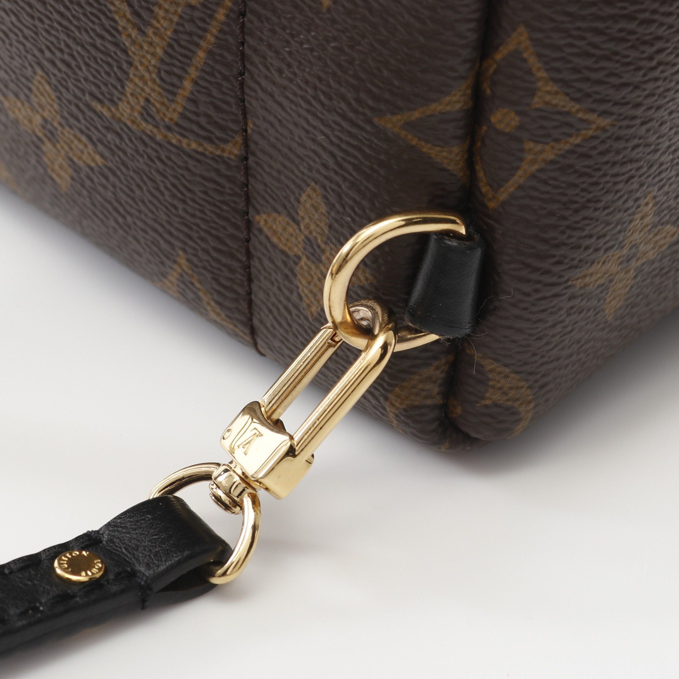 Louis Vuitton Palm Springs Backpack Mini Monogram Rucksack Leather Brown Black