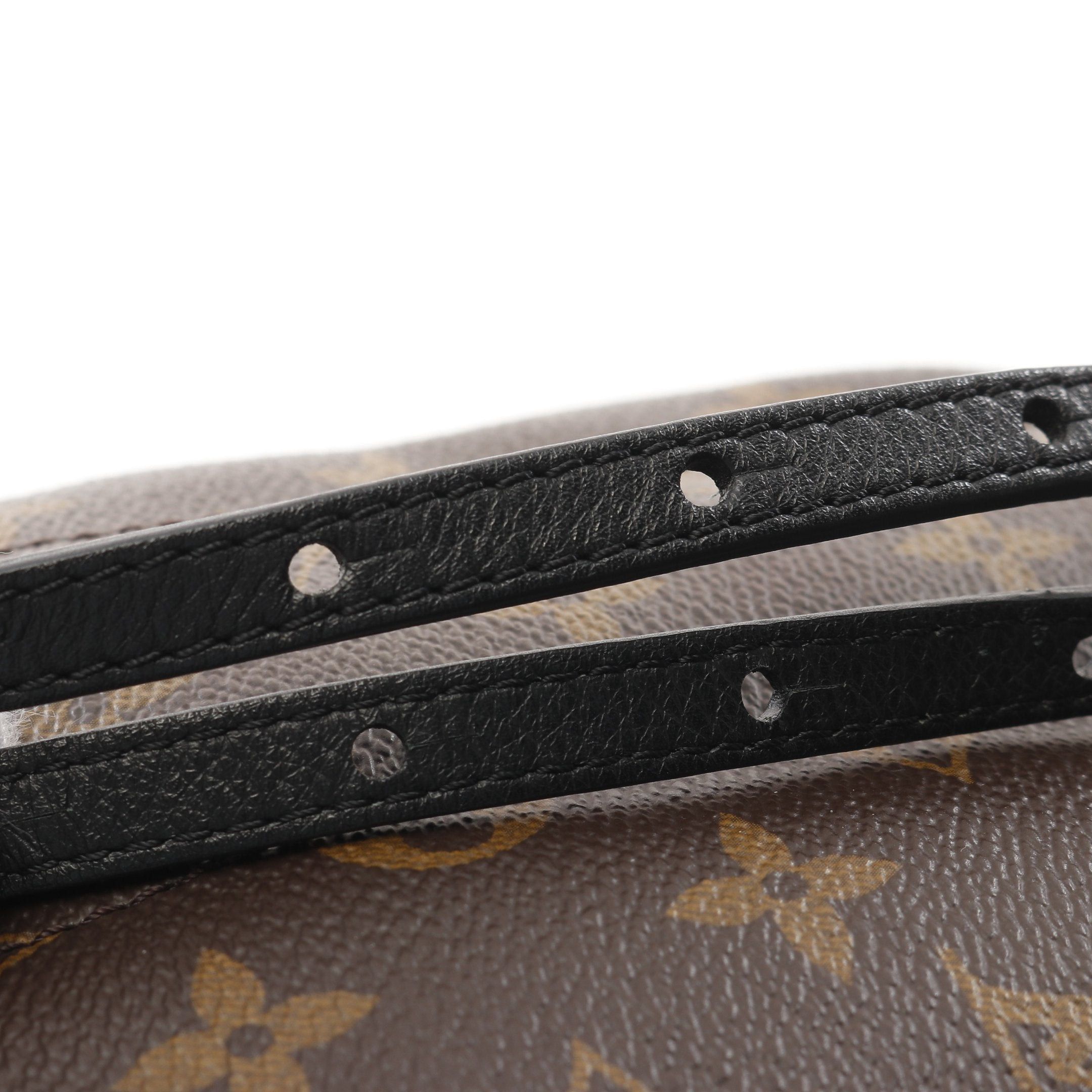 Louis Vuitton Palm Springs Backpack Mini Monogram Rucksack Leather Brown Black