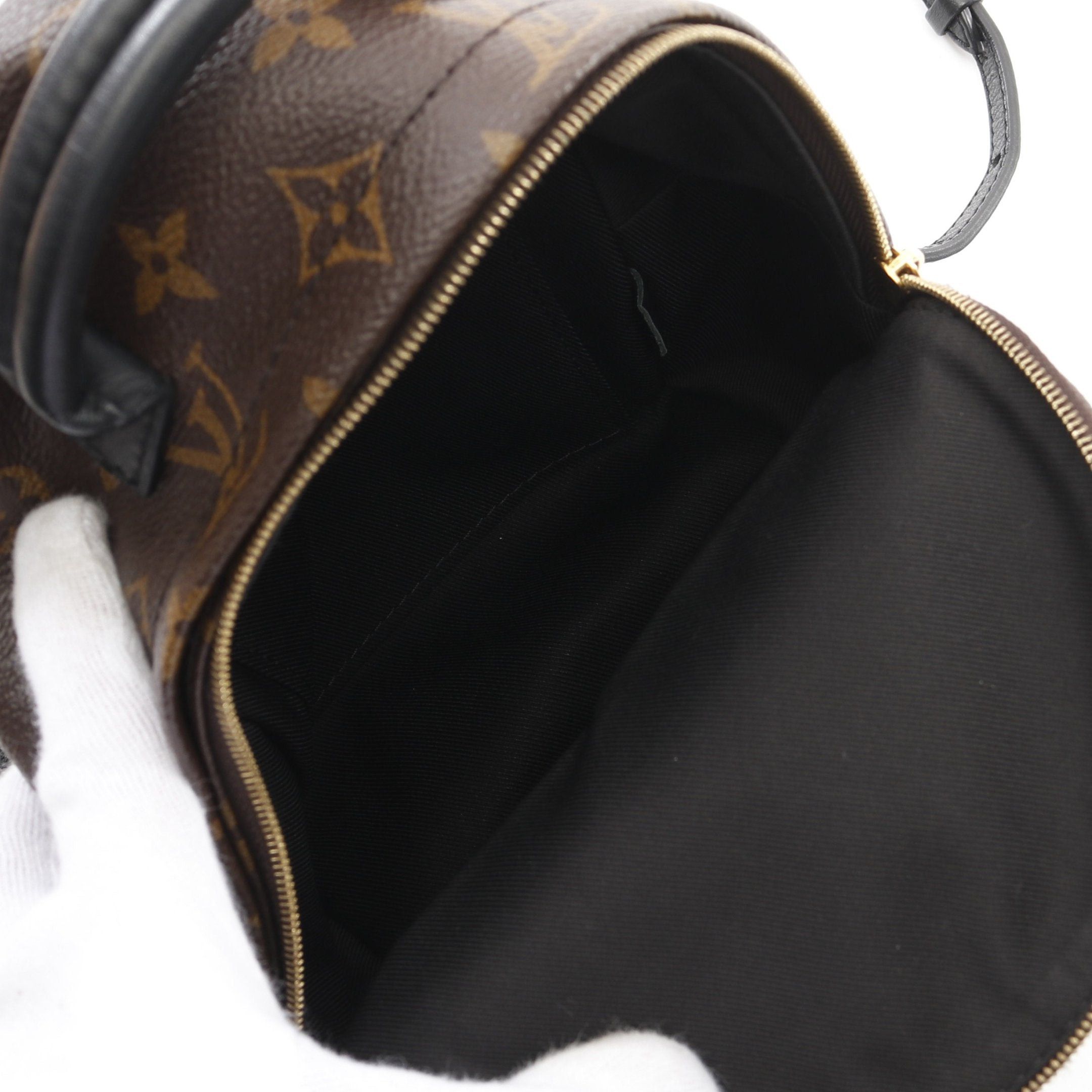 Louis Vuitton Palm Springs Backpack Mini Monogram Rucksack Leather Brown Black