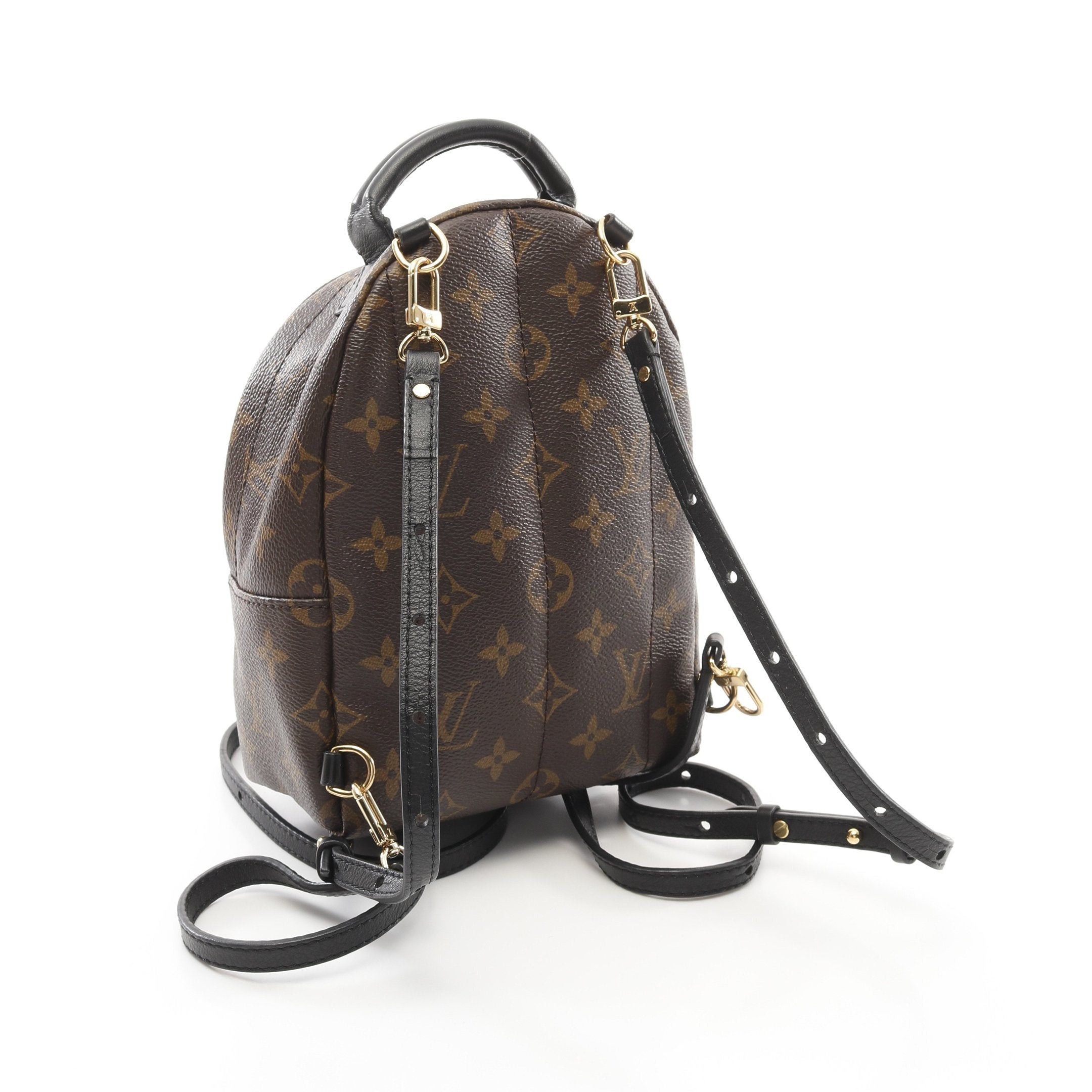 Louis Vuitton Palm Springs Backpack Mini Monogram Rucksack Leather Brown Black