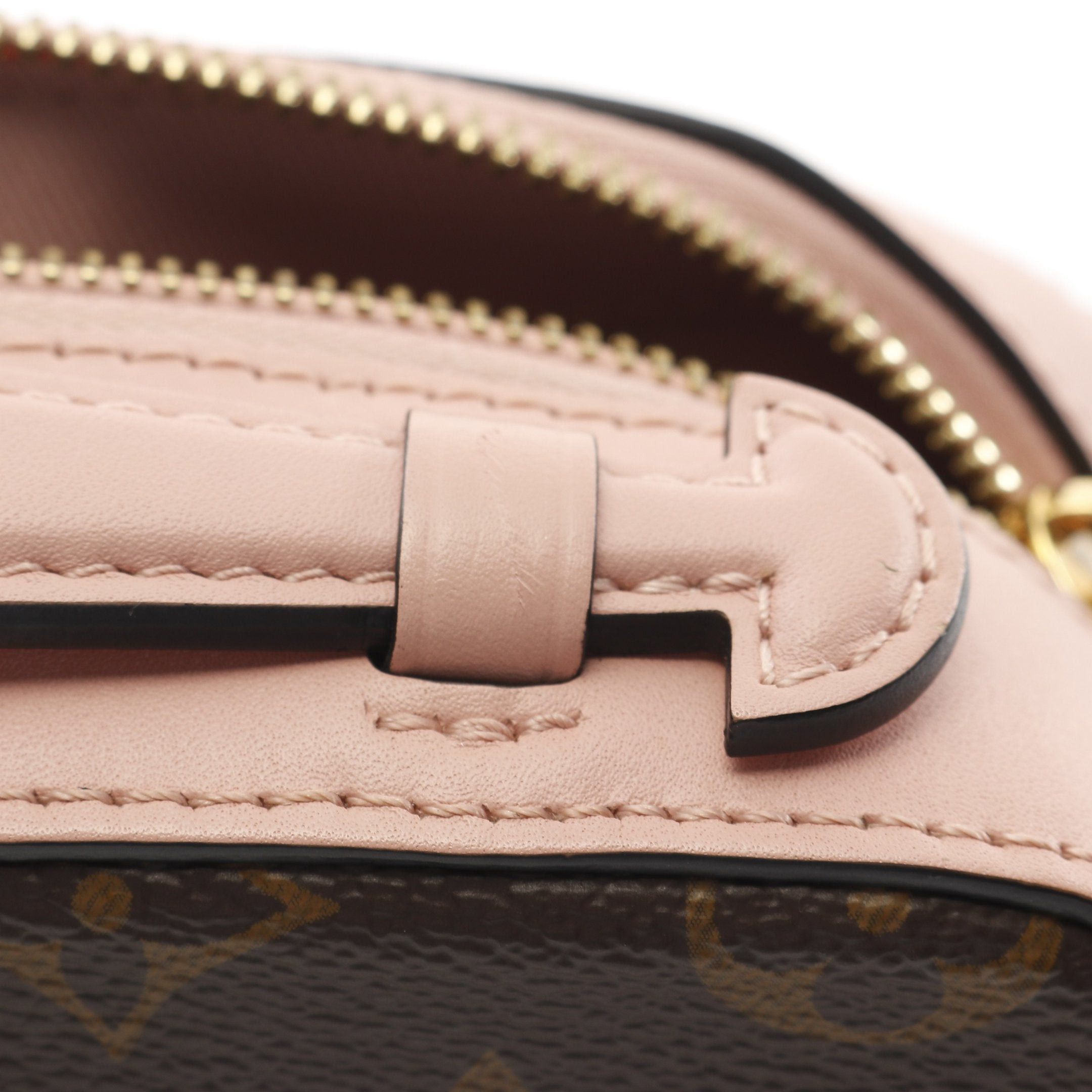 Louis Vuitton Louis Vuitton Saintonge Monogram Rose Poodle Shoulder Bag Leather Brown Pink Size ONE SIZE - 10 Thumbnail