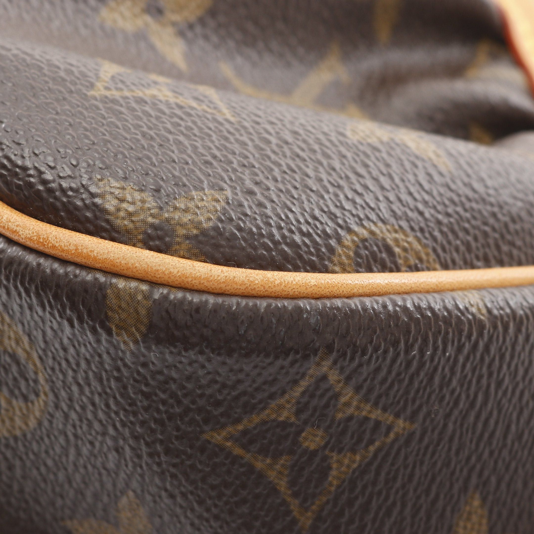 Louis Vuitton Louis Vuitton Clara Monogram Shoulder Bag Leather Brown Size ONE SIZE - 8 Thumbnail