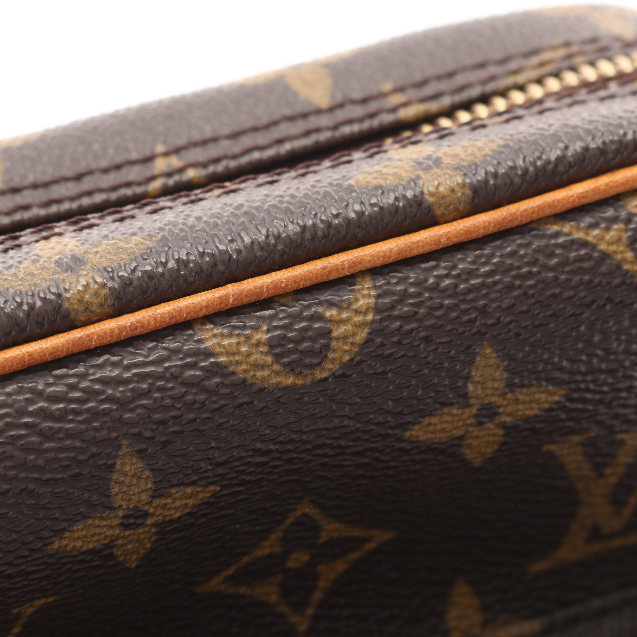 Louis Vuitton Louis Vuitton Amazon Monogram Shoulder Bag Leather Brown Size ONE SIZE - 10 Thumbnail
