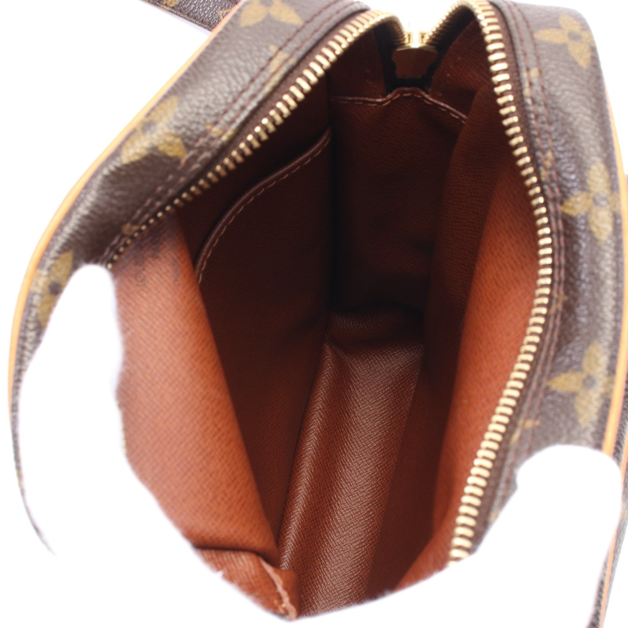 Louis Vuitton Louis Vuitton Amazon Monogram Shoulder Bag Leather Brown Size ONE SIZE - 3 Thumbnail