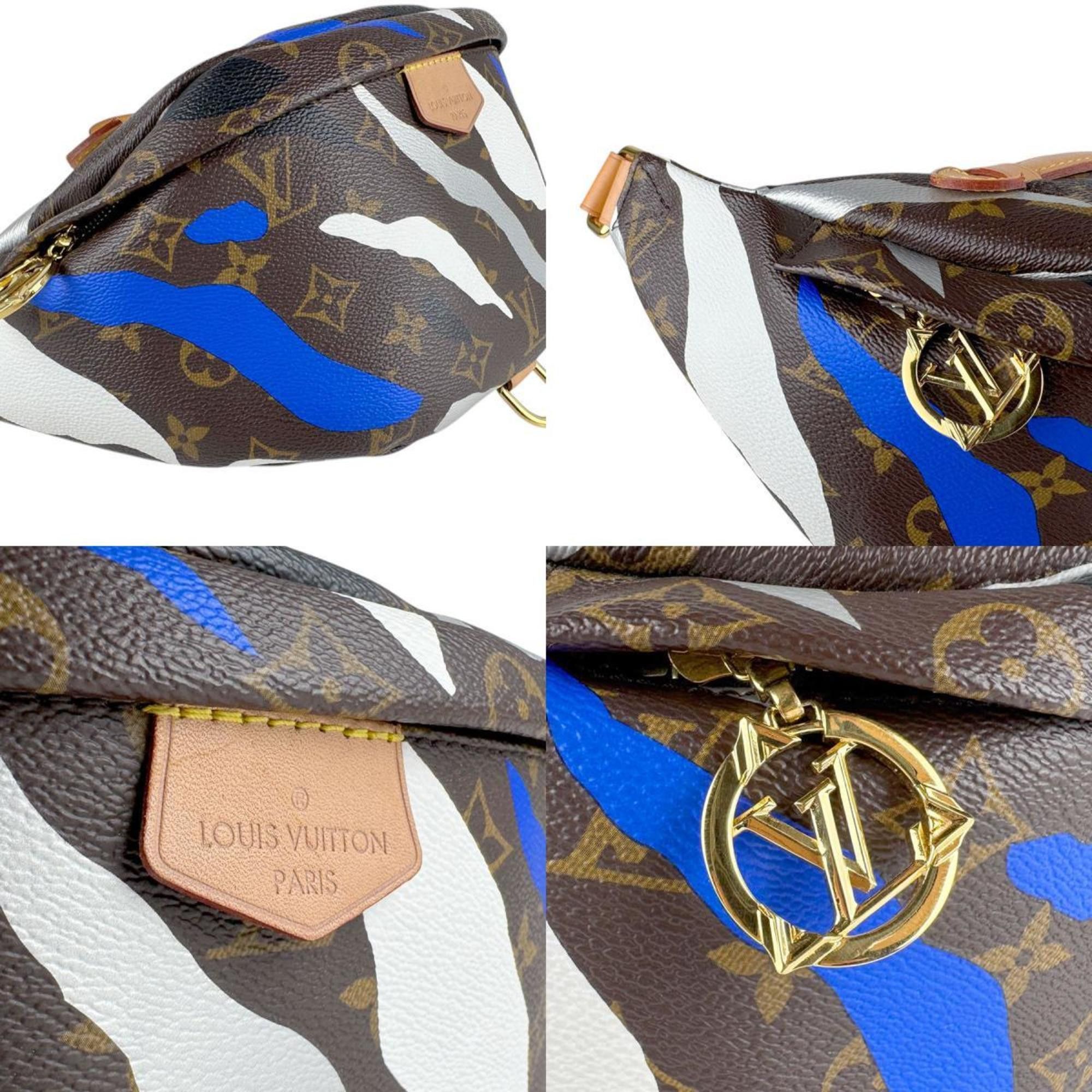 Louis Vuitton Louis Vuitton Bum Bag / Sac Ceinture clutch Size ONE SIZE - 4 Thumbnail