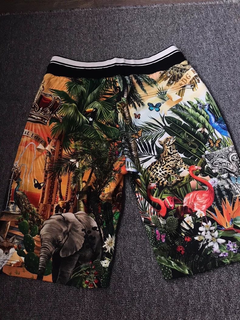 Dolce & Gabbana Dolce&Gabbana Tropical Animal Print Shorts Size US 44 / EU 60 - 2 Thumbnail