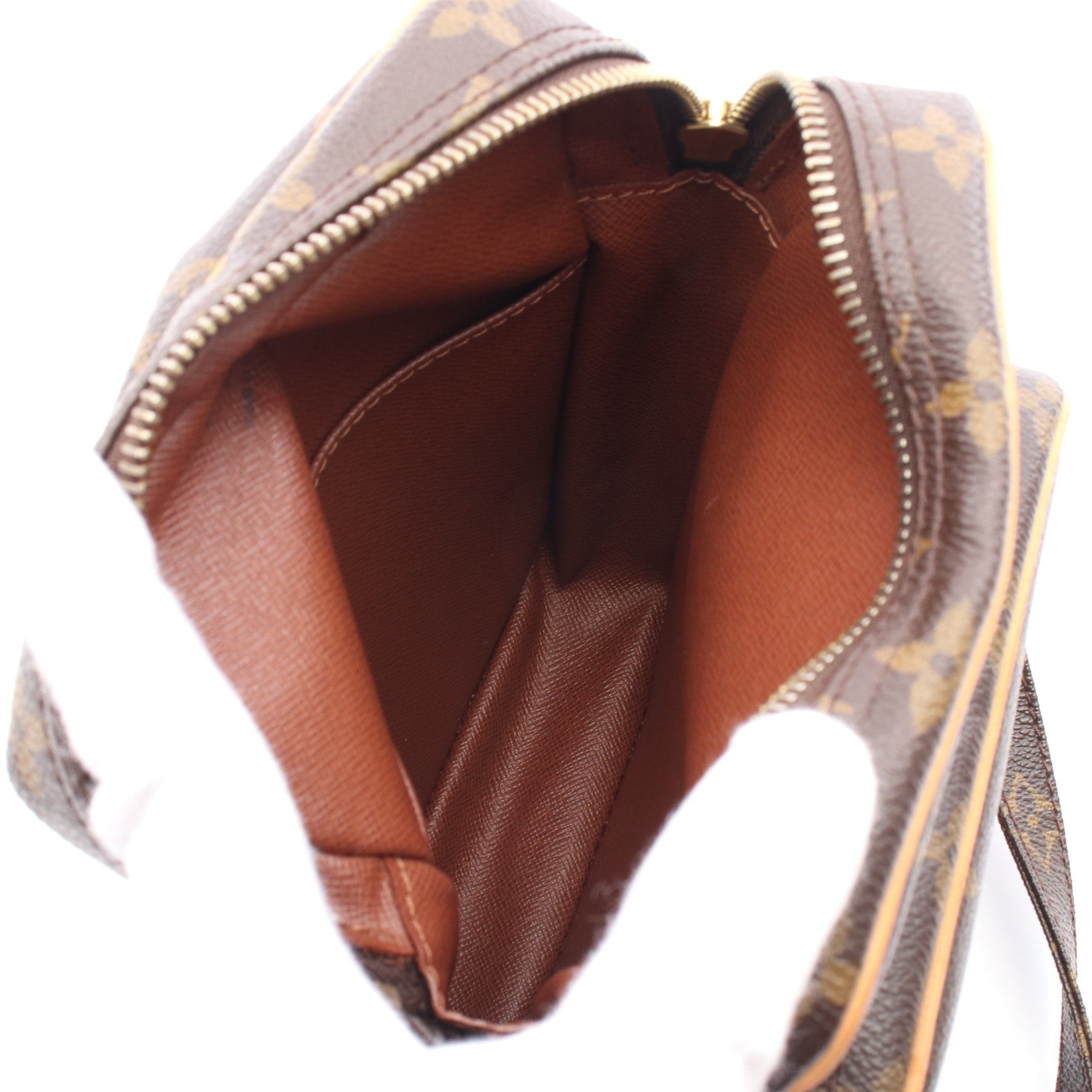 Louis Vuitton Louis Vuitton Amazon Monogram Shoulder Bag Leather Brown Size ONE SIZE - 3 Thumbnail