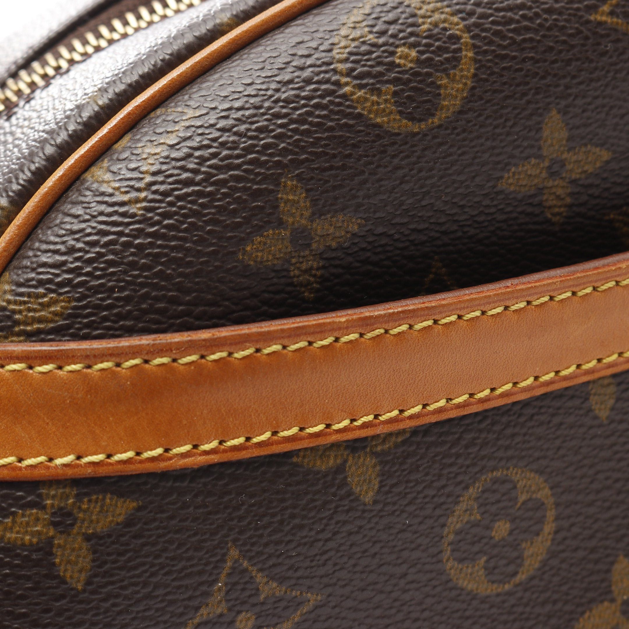 Louis Vuitton Louis Vuitton Blower Monogram Shoulder Bag Leather Brown Size ONE SIZE - 7 Thumbnail