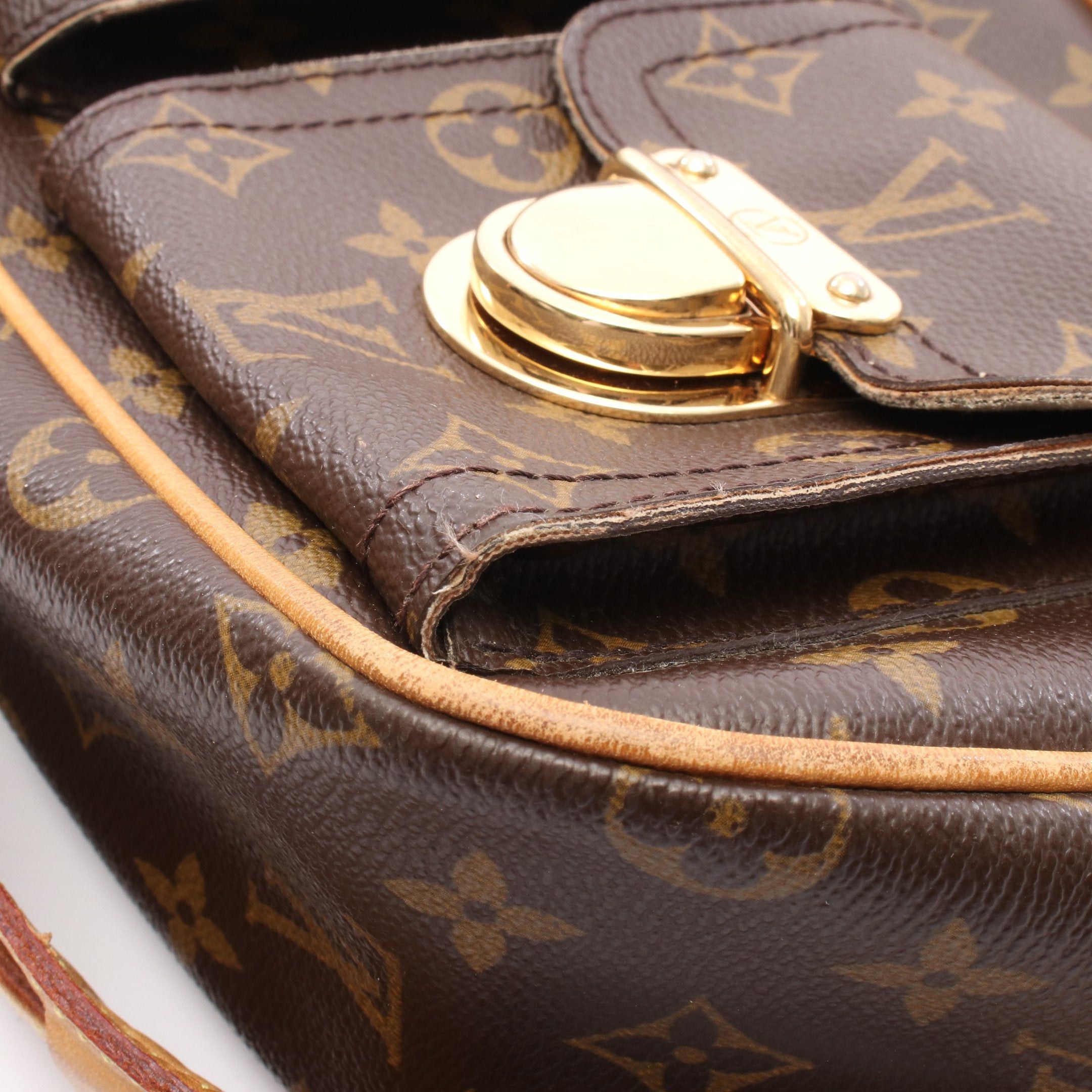 Louis Vuitton Louis Vuitton Hudson Gm Monogram Shoulder Bag Leather Brown Size ONE SIZE - 10 Thumbnail