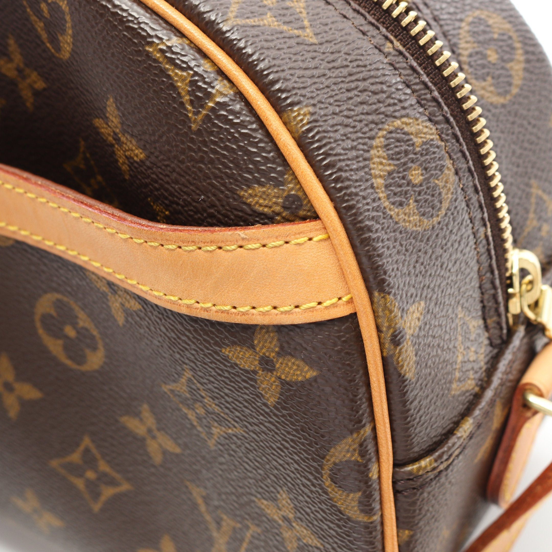Louis Vuitton Louis Vuitton Blower Monogram Shoulder Bag Leather Brown Size ONE SIZE - 7 Thumbnail