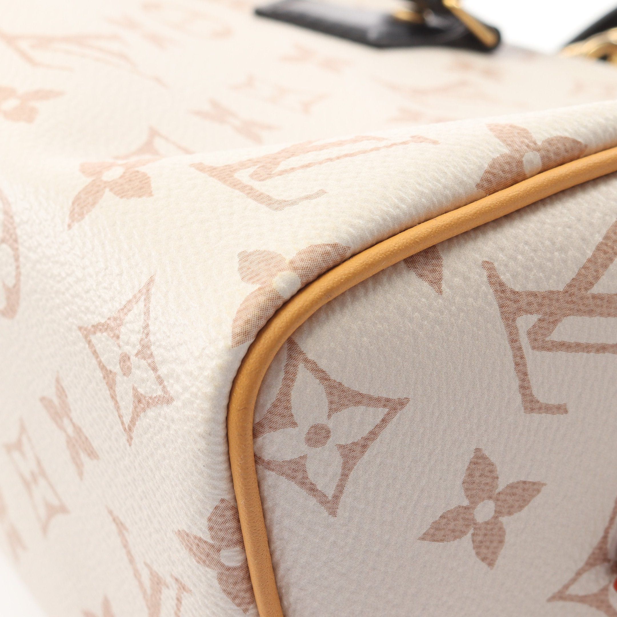 Louis Vuitton Louis Vuitton Speedy 20 Monogram Dune Handbag Leather Off White Beige Black Size ONE SIZE - 5 Thumbnail
