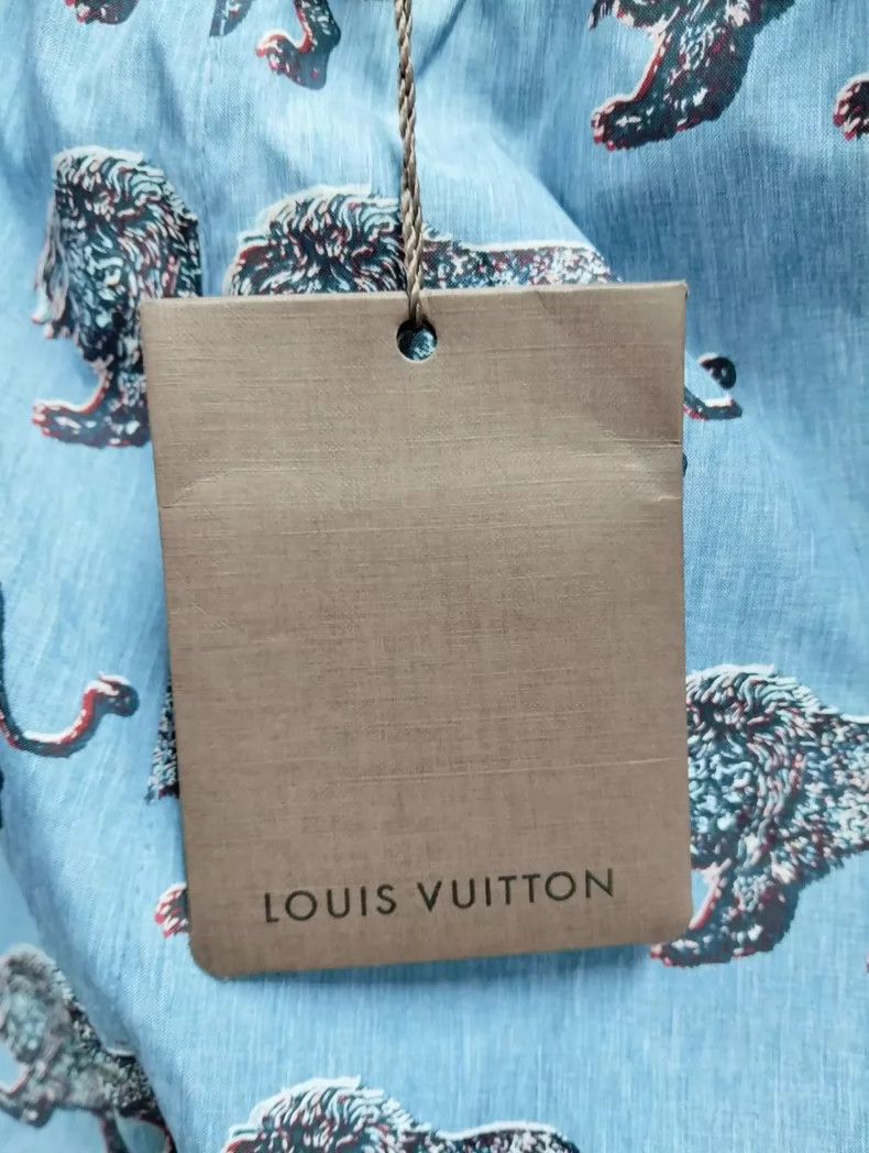 Louis Vuitton Louis Vuitton Printed Shorts Size S Size US 27 - 6 Thumbnail
