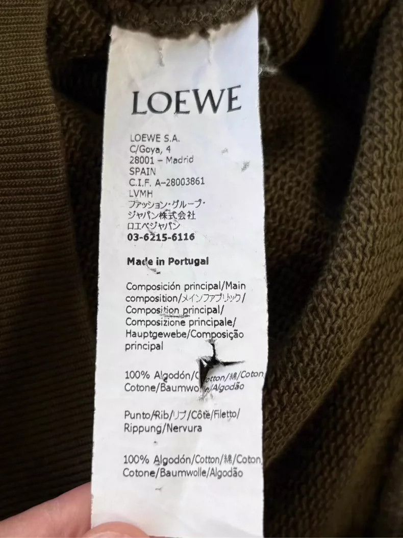 Loewe Embroidered Sweatshirt in Green