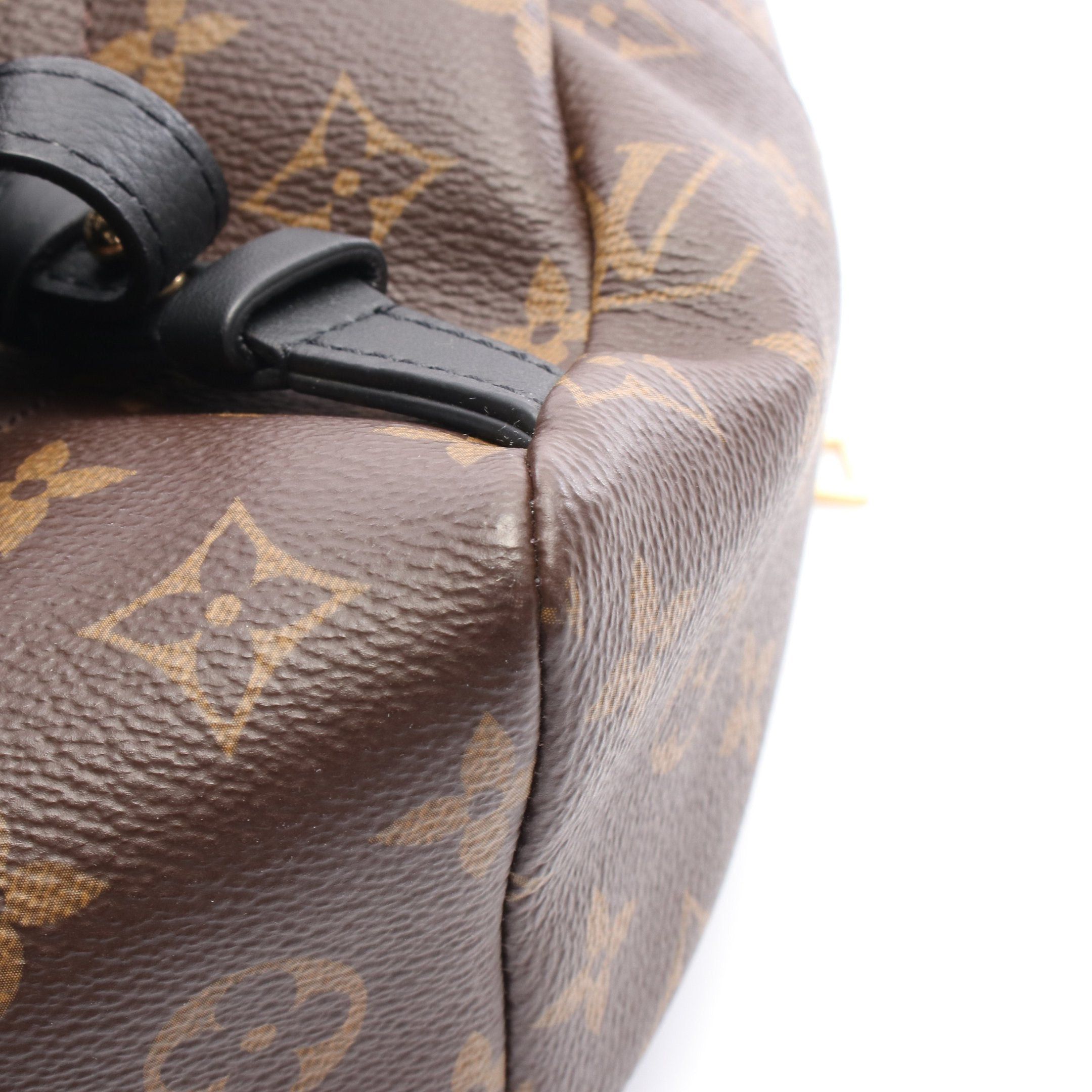Louis Vuitton Louis Vuitton Palm Springs Backpack Pm Monogram Rucksack Leather Brown Black Size ONE SIZE - 6 Thumbnail