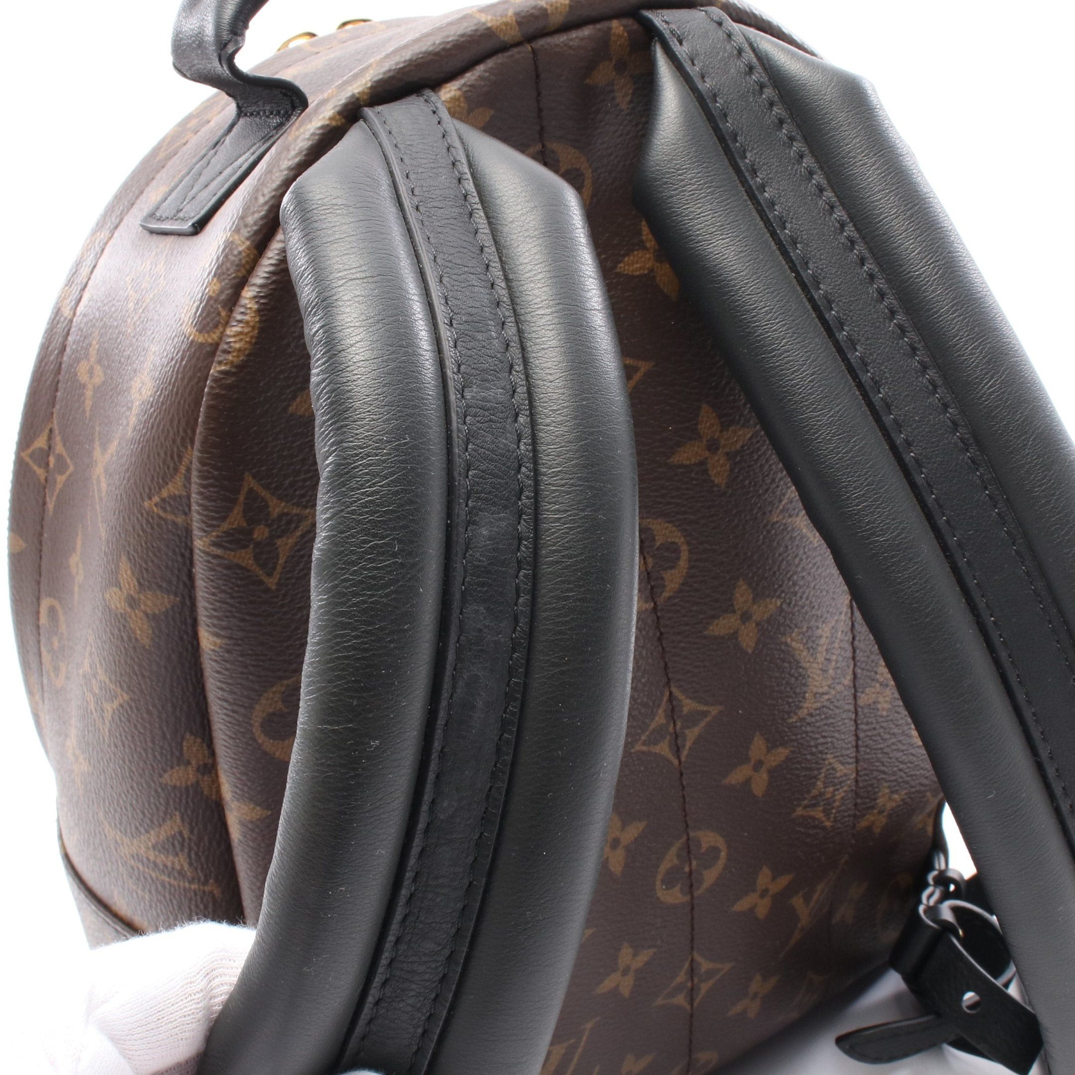 Louis Vuitton Louis Vuitton Palm Springs Backpack Pm Monogram Rucksack Leather Brown Black Size ONE SIZE - 8 Thumbnail