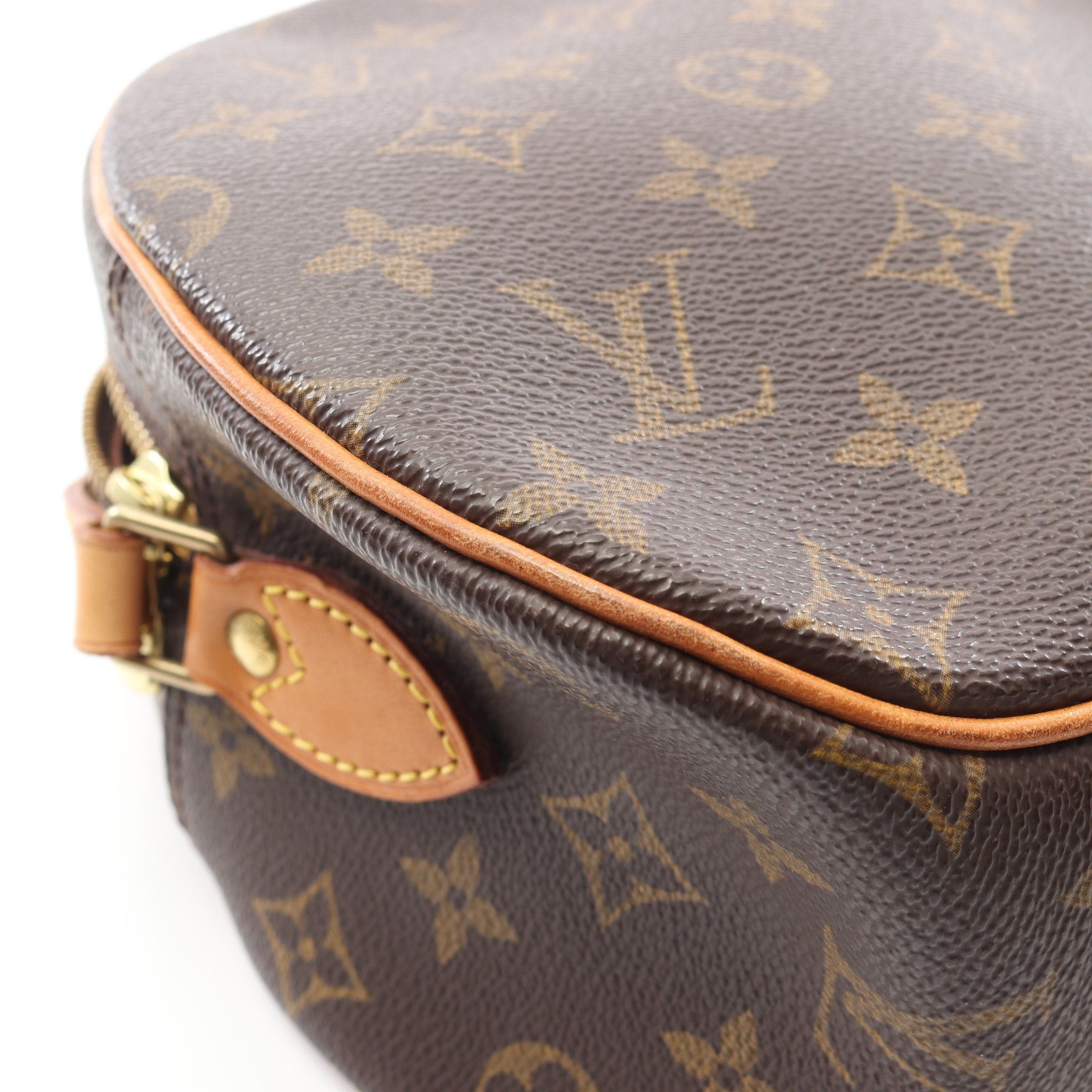 Louis Vuitton Louis Vuitton Blower Monogram Shoulder Bag Leather Brown Size ONE SIZE - 9 Thumbnail