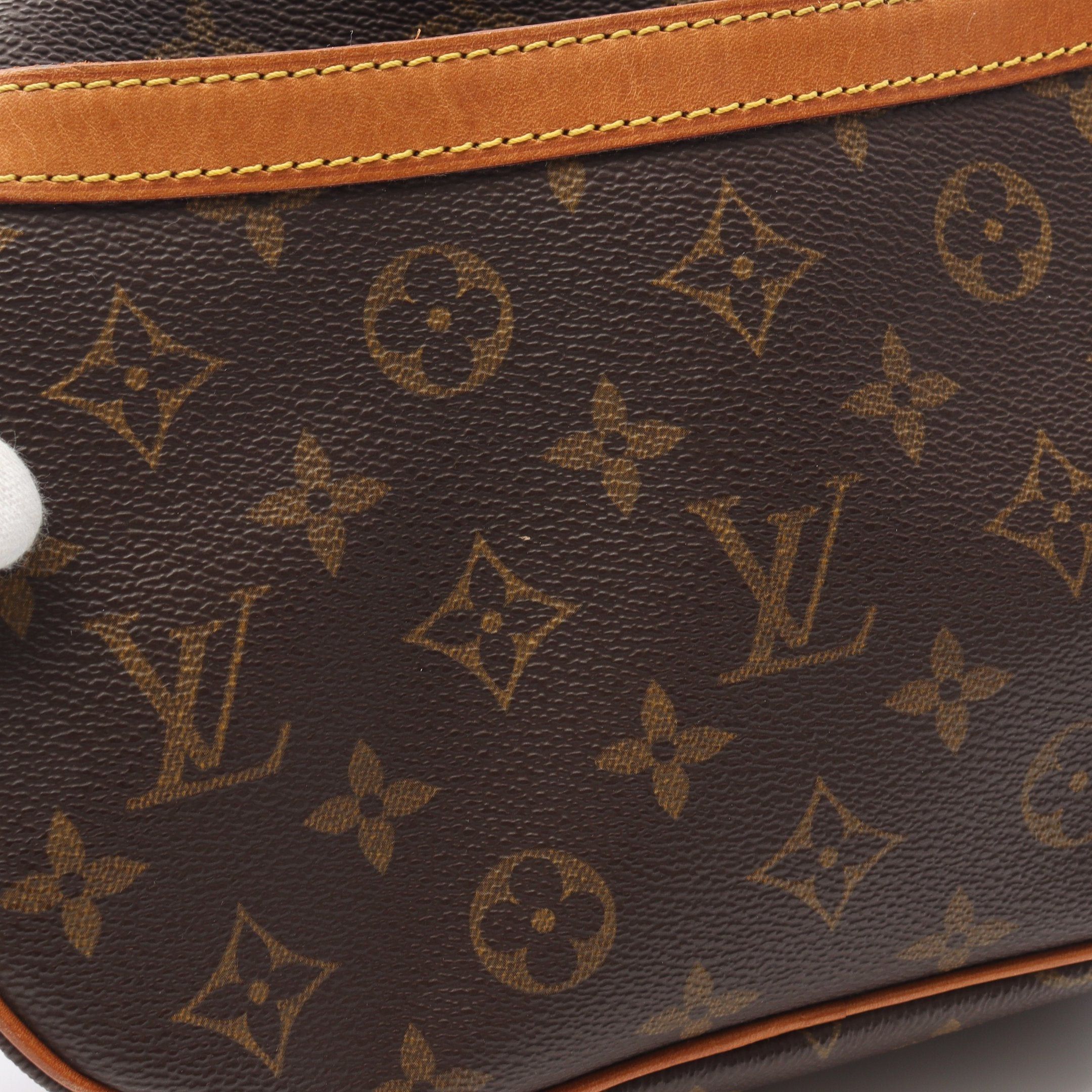 Louis Vuitton Louis Vuitton Blower Monogram Shoulder Bag Leather Brown Size ONE SIZE - 6 Thumbnail