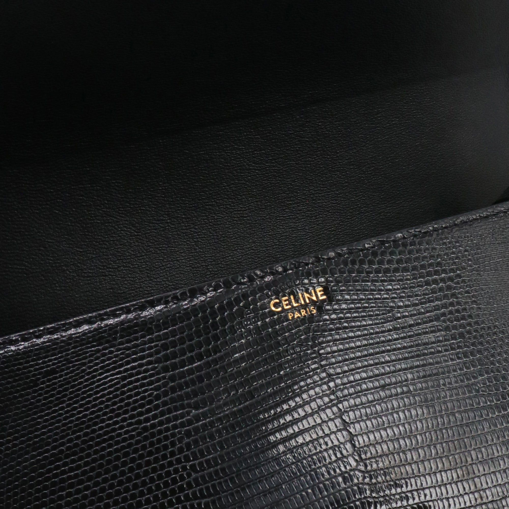 Celine CELINE - Celine Triomphe shoulder bag in black lizard Size ONE SIZE - 8 Thumbnail