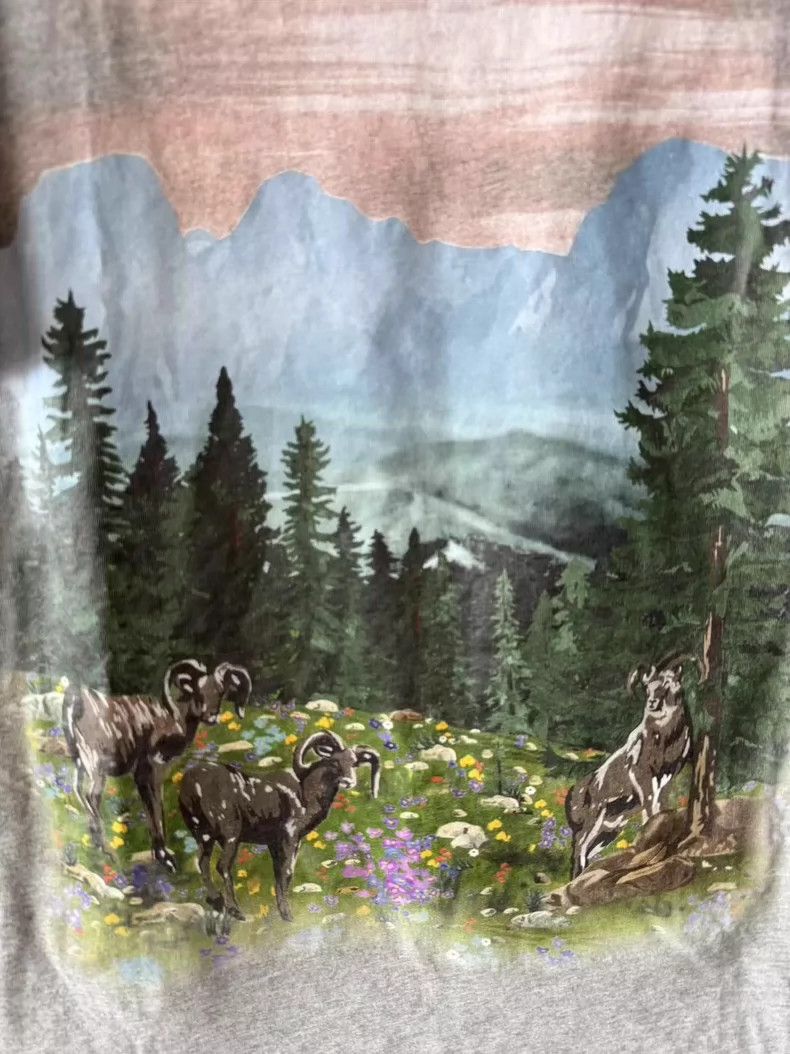 Loewe LOEWE Gray T shirt Landscape Size US M / EU 48-50 / 2 - 9 Thumbnail