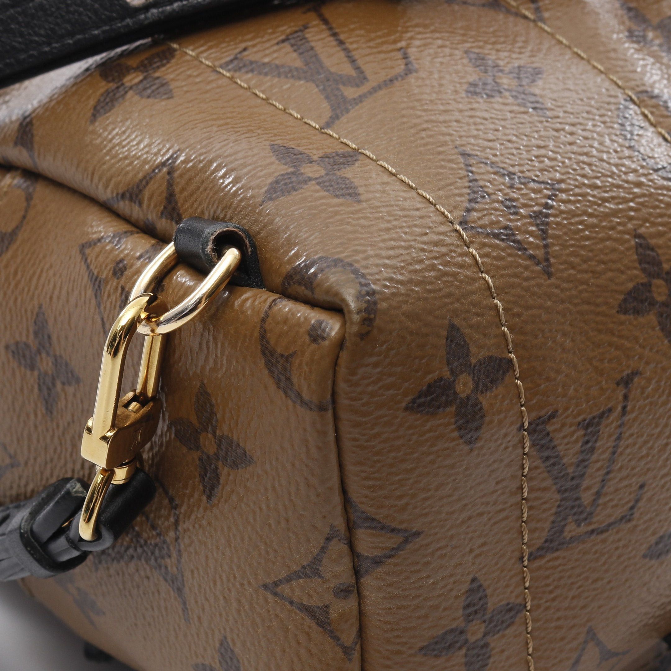 Louis Vuitton Louis Vuitton Palm Springs Backpack Mini Monogram Reverse Rucksack Leather Light Brown Dark Size ONE SIZE - 6 Thumbnail