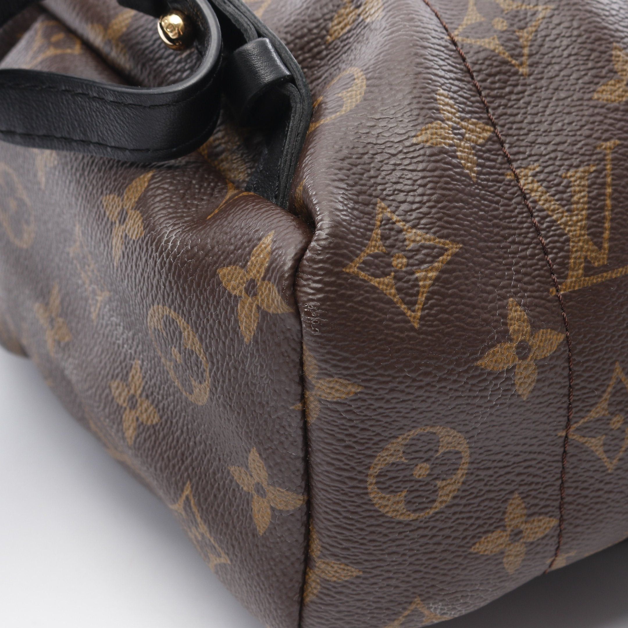 Louis Vuitton Louis Vuitton Palm Springs Backpack Pm Monogram Rucksack Leather Brown Black Size ONE SIZE - 6 Thumbnail