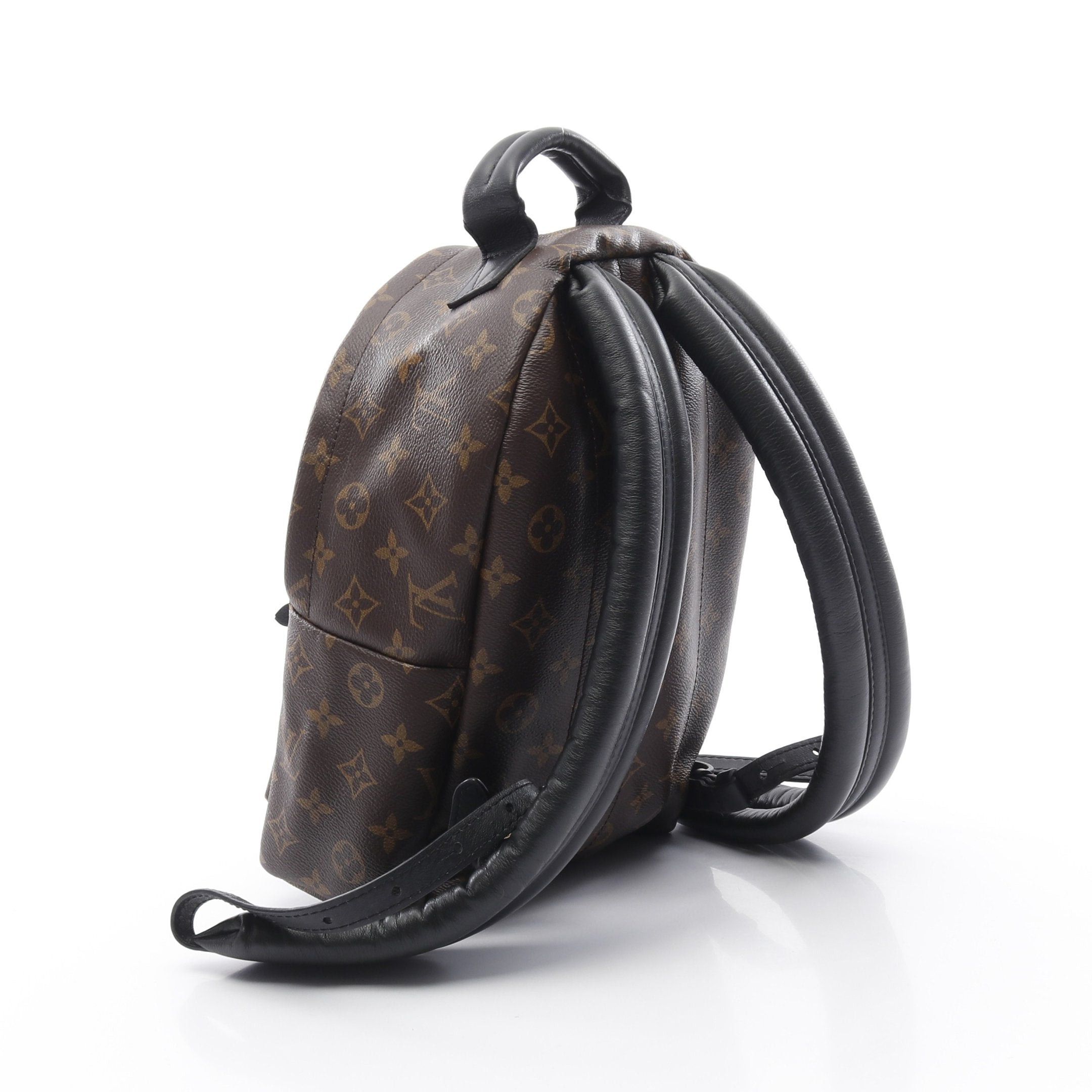 Louis Vuitton Louis Vuitton Palm Springs Backpack Pm Monogram Rucksack Leather Brown Black Size ONE SIZE - 2 Thumbnail