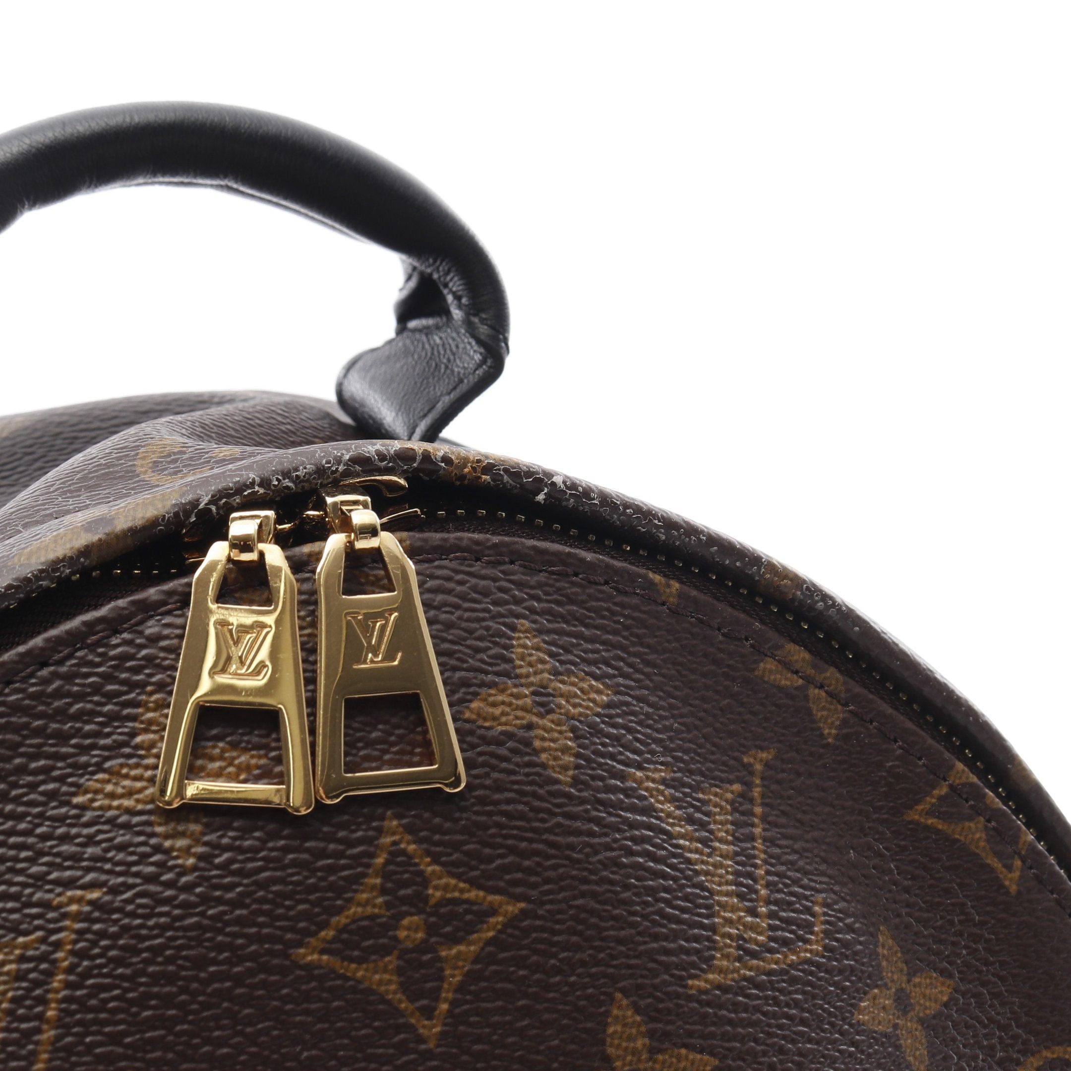 Louis Vuitton Louis Vuitton Palm Springs Backpack Pm Monogram Rucksack Leather Brown Black Size ONE SIZE - 9 Thumbnail