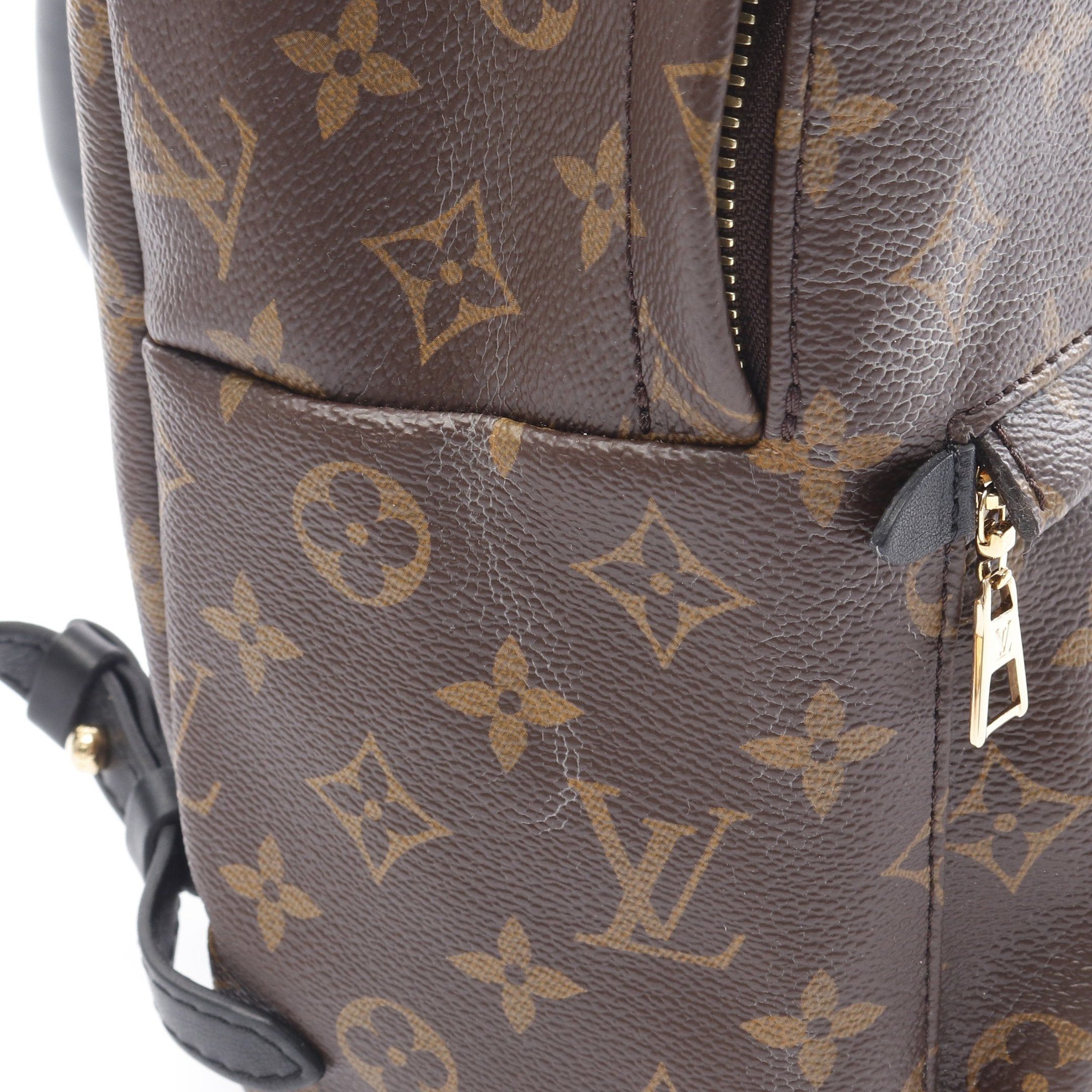 Louis Vuitton Louis Vuitton Palm Springs Backpack Pm Monogram Rucksack Leather Brown Black Size ONE SIZE - 11 Thumbnail