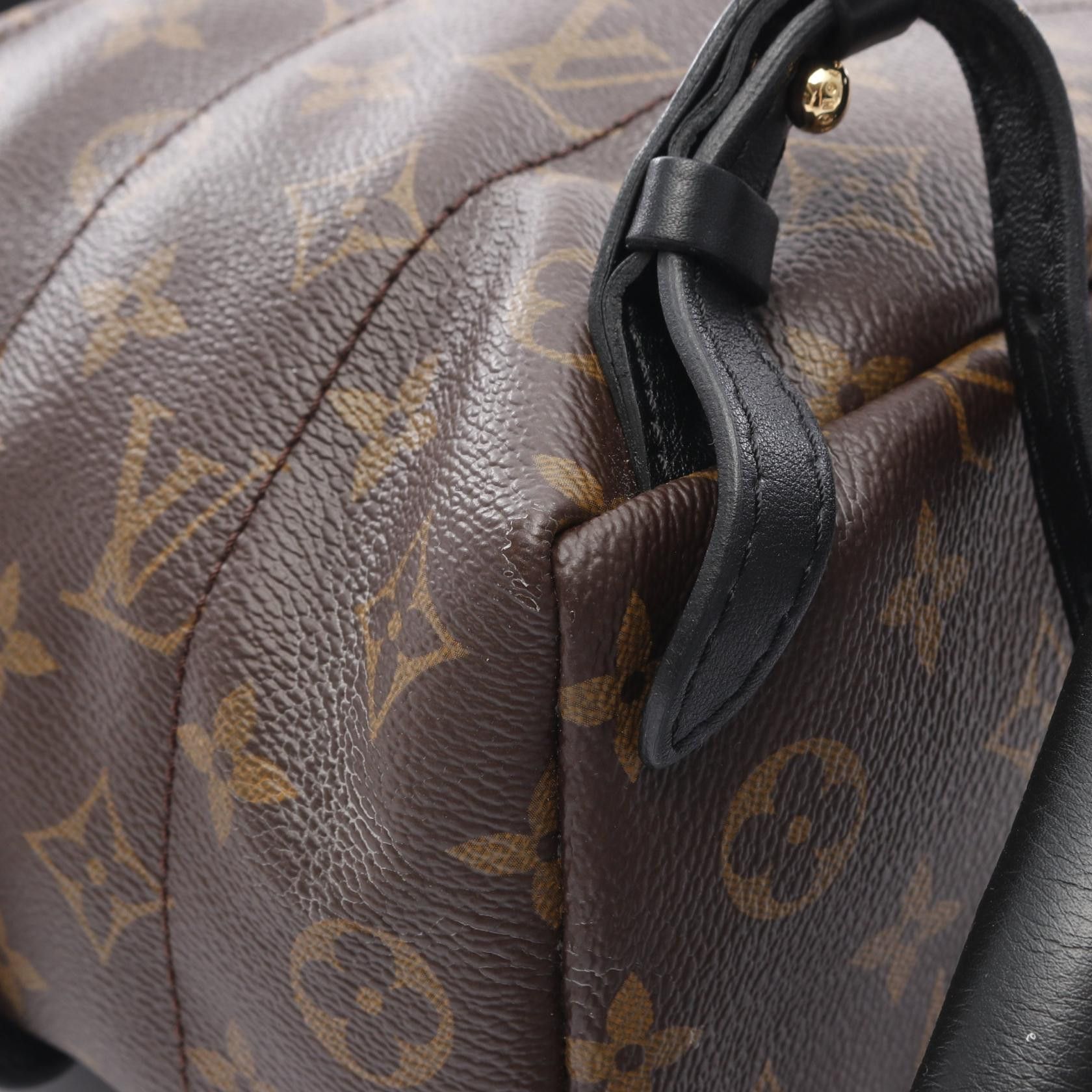 Louis Vuitton Louis Vuitton Palm Springs Backpack Pm Monogram Rucksack Leather Brown Black Size ONE SIZE - 7 Thumbnail