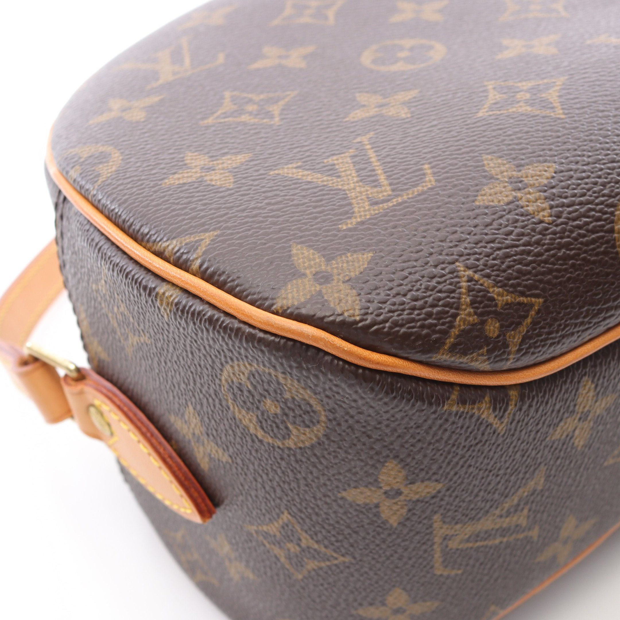 Louis Vuitton Louis Vuitton Blower Monogram Shoulder Bag Leather Brown Size ONE SIZE - 7 Thumbnail
