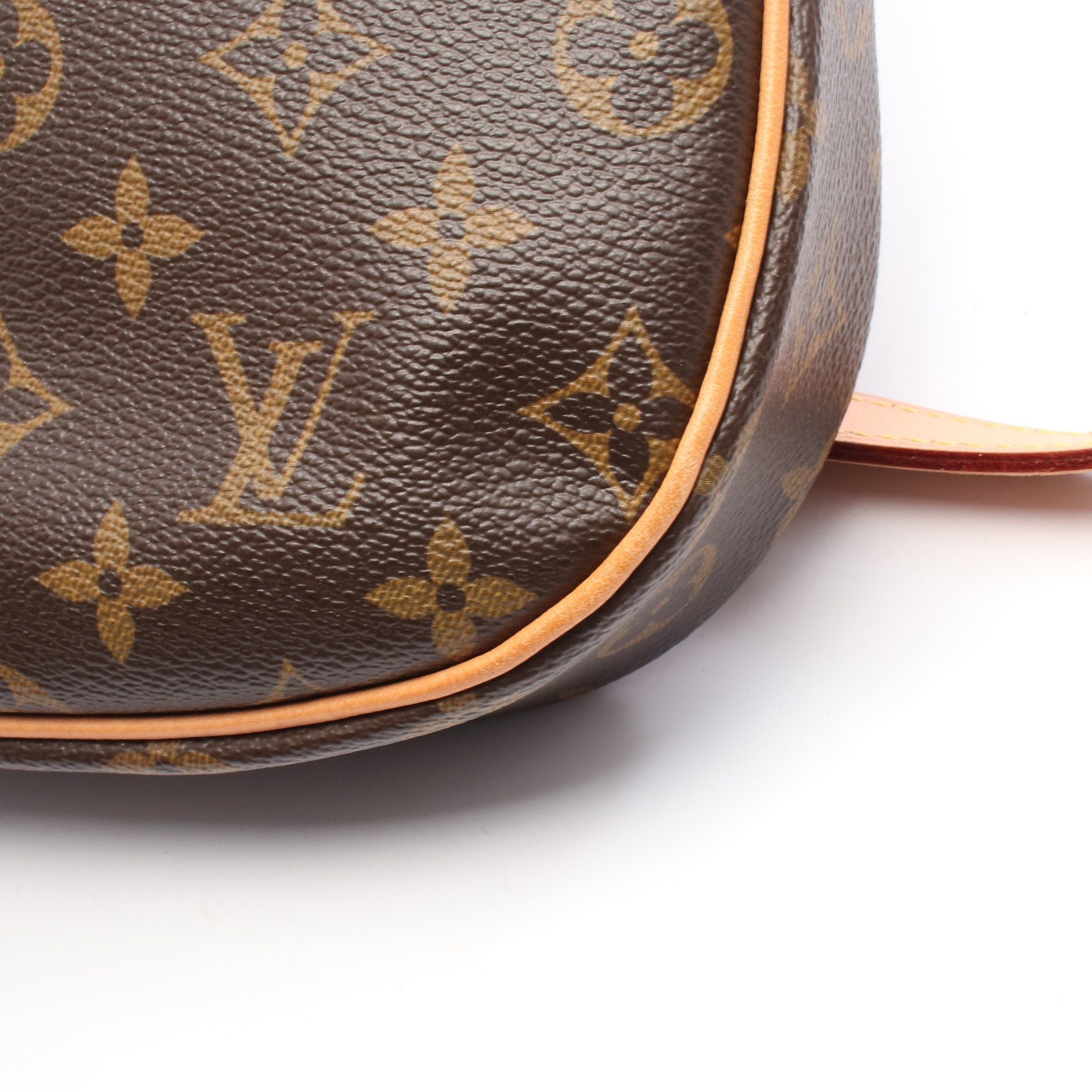 Louis Vuitton Louis Vuitton Odeon Pm Monogram Shoulder Bag Leather Brown Size ONE SIZE - 7 Thumbnail