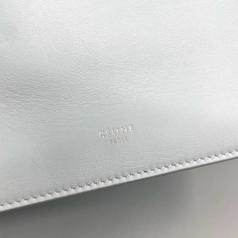 Celine Celine Clasp Crossbody Bag Size 23x20 Size ONE SIZE - 6 Thumbnail