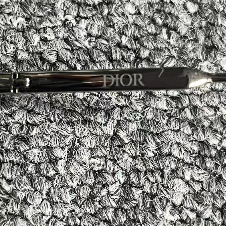 Dior Blue Logo Sunglasses with Irregular Frame