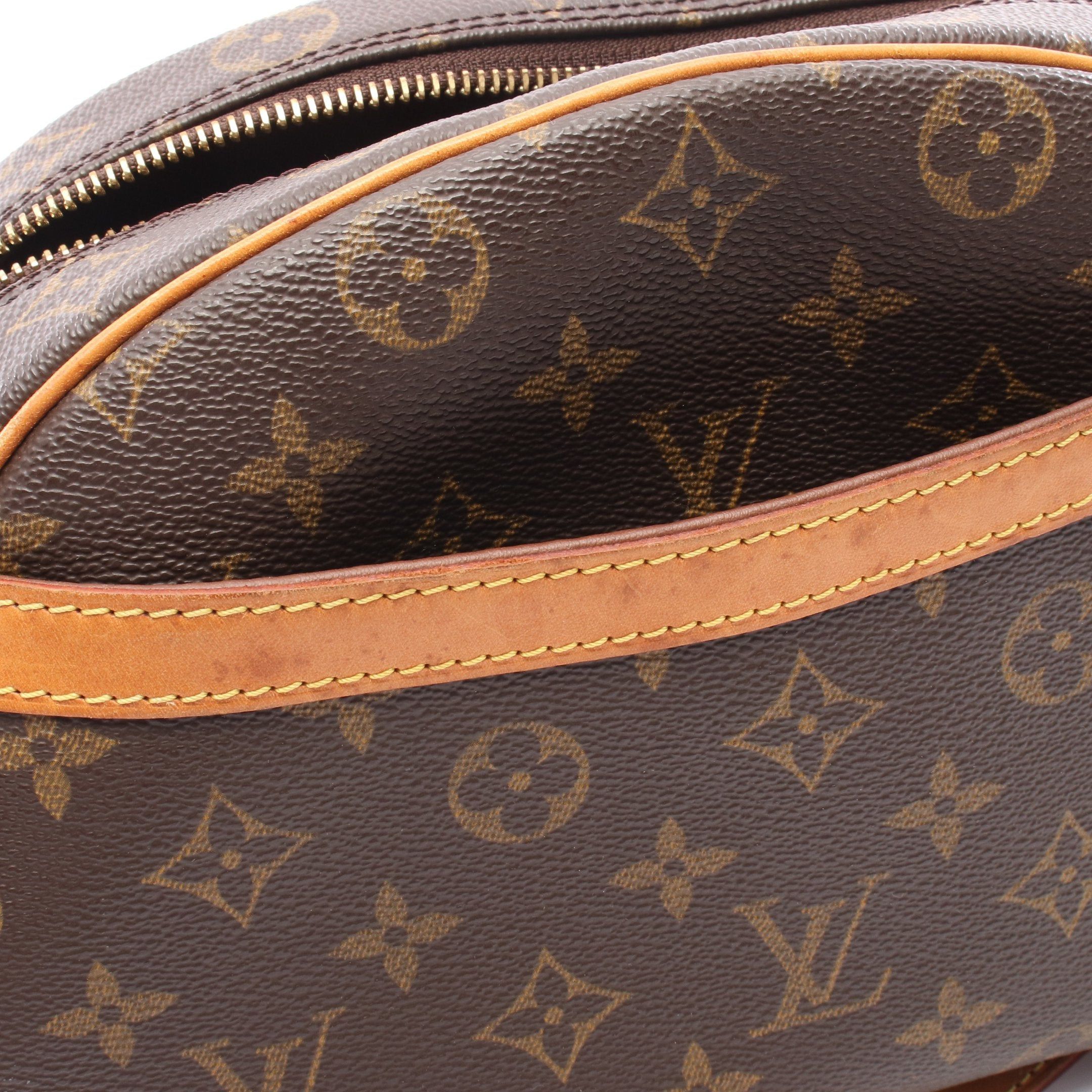 Louis Vuitton Louis Vuitton Blower Monogram Shoulder Bag Leather Brown Size ONE SIZE - 6 Thumbnail