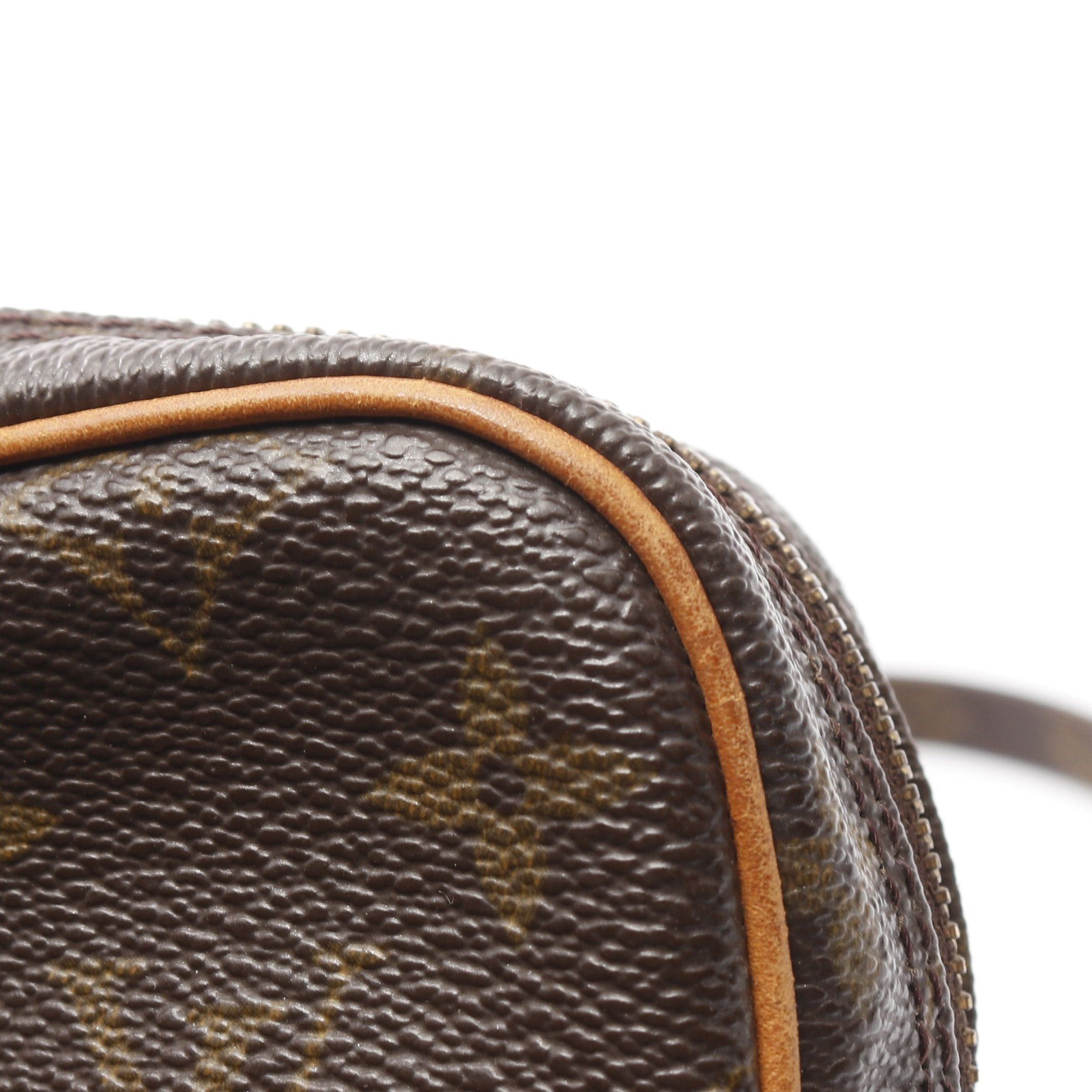 Louis Vuitton Louis Vuitton Amazon Monogram Shoulder Bag Leather Brown Size ONE SIZE - 7 Thumbnail