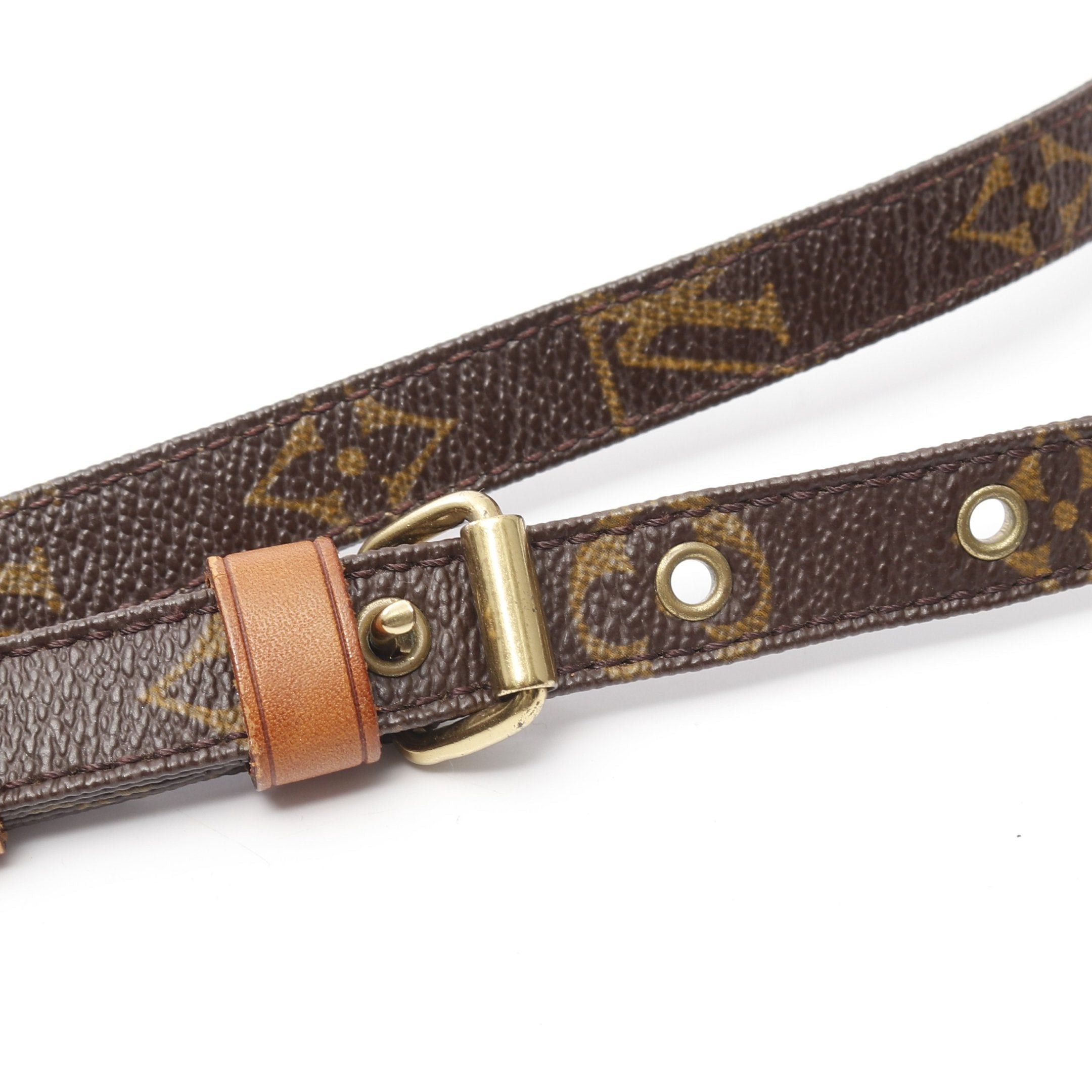 Louis Vuitton Louis Vuitton Amazon Monogram Shoulder Bag Leather Brown Size ONE SIZE - 9 Thumbnail