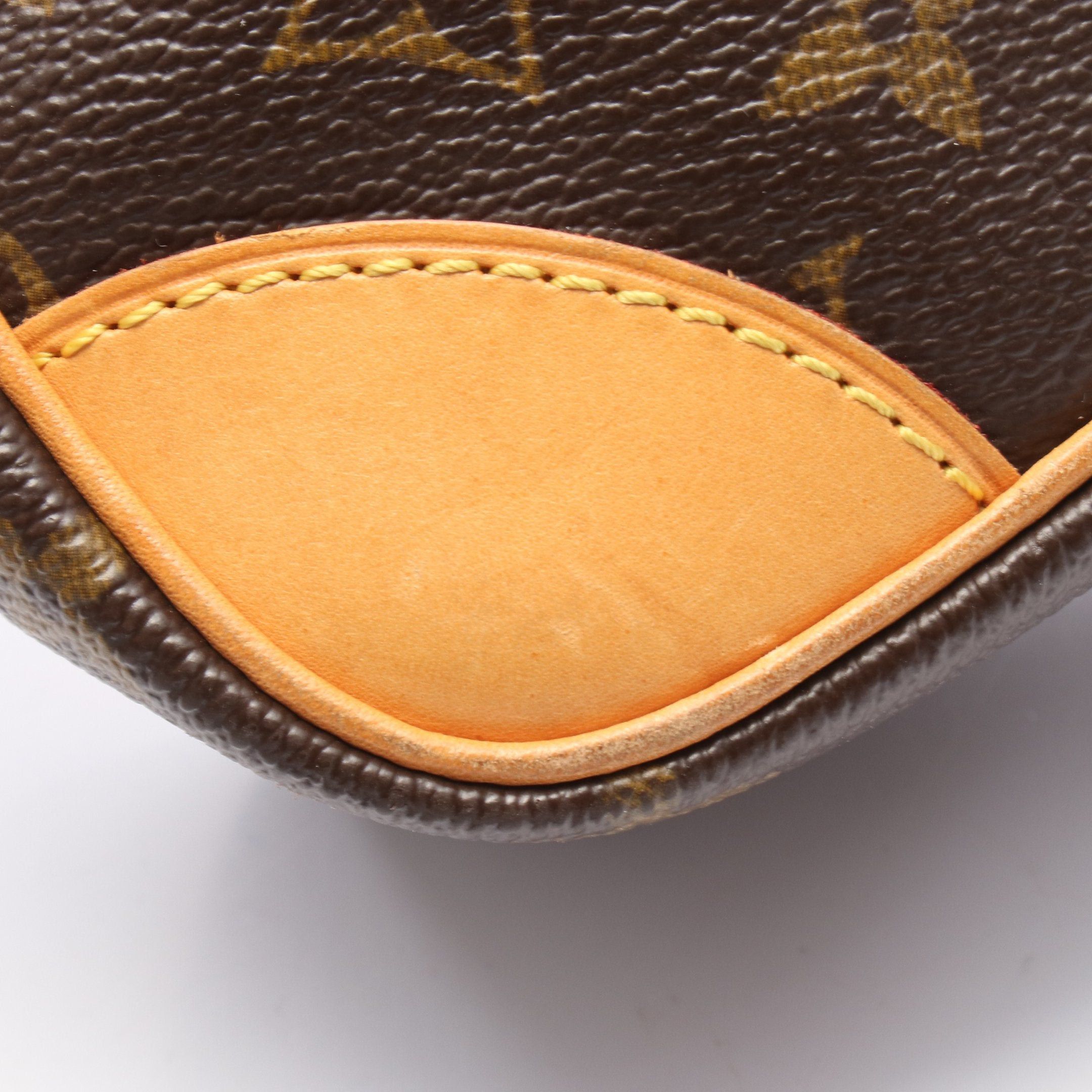 Louis Vuitton Louis Vuitton Amazon Monogram Shoulder Bag Leather Brown Size ONE SIZE - 6 Thumbnail