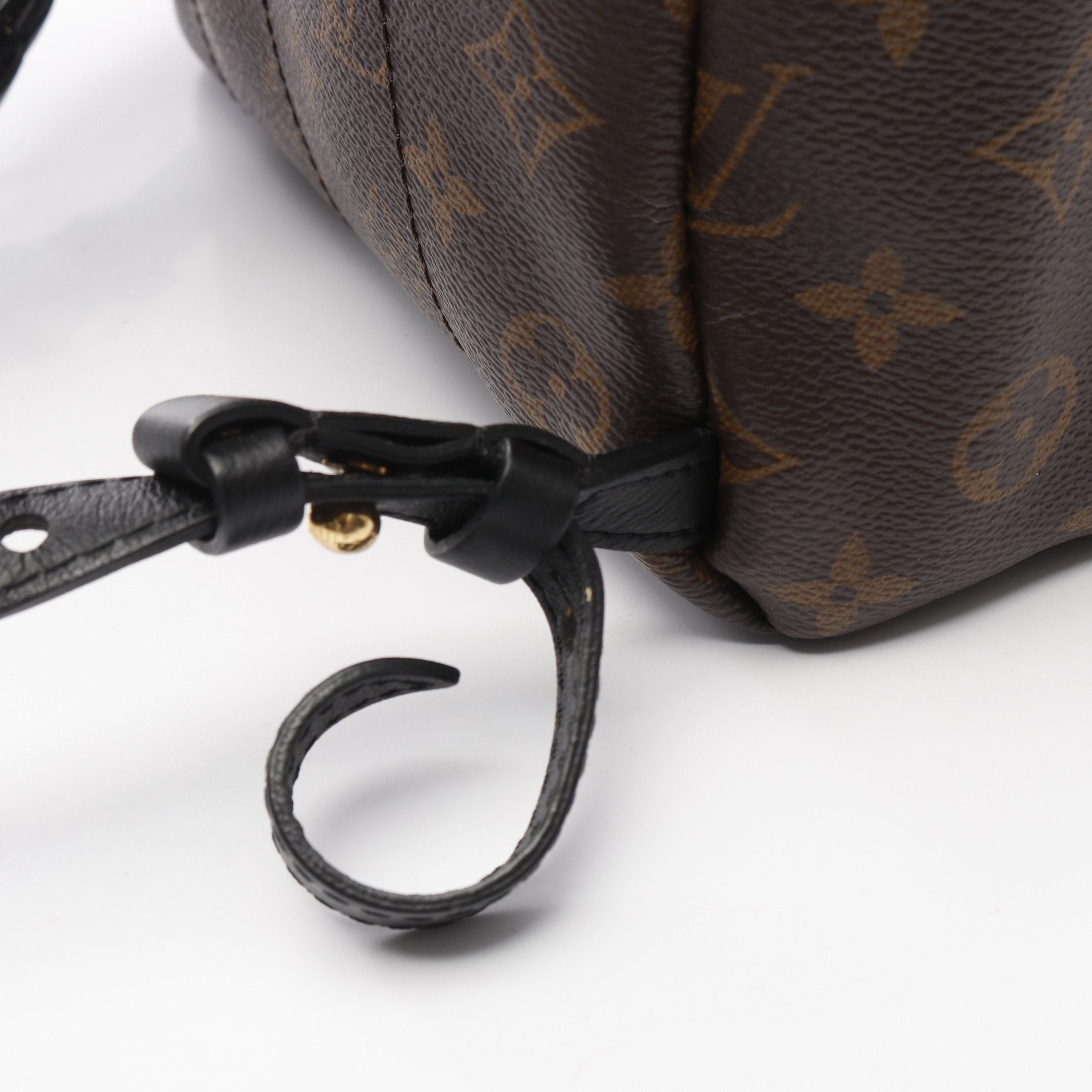 Louis Vuitton Louis Vuitton Palm Springs Backpack Pm Monogram Rucksack Leather Brown Black Size ONE SIZE - 6 Thumbnail
