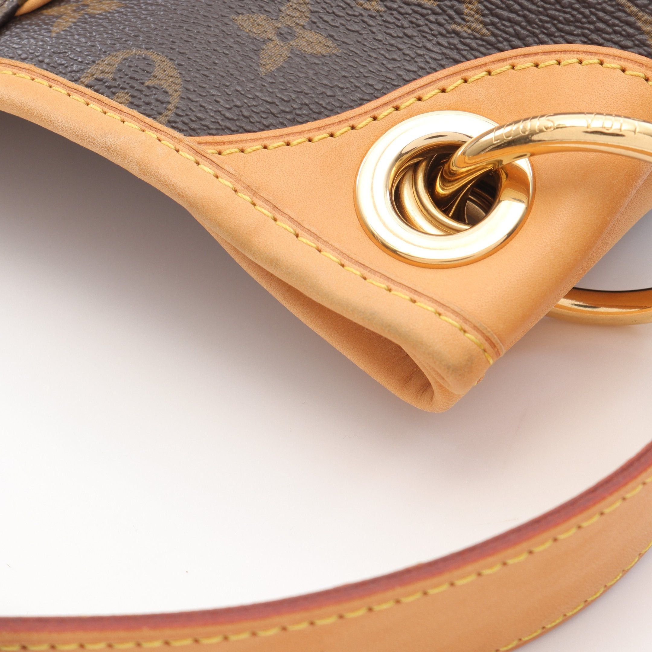 Louis Vuitton Louis Vuitton Galliera Pm Monogram One Shoulder Bag Leather Brown Size ONE SIZE - 8 Thumbnail