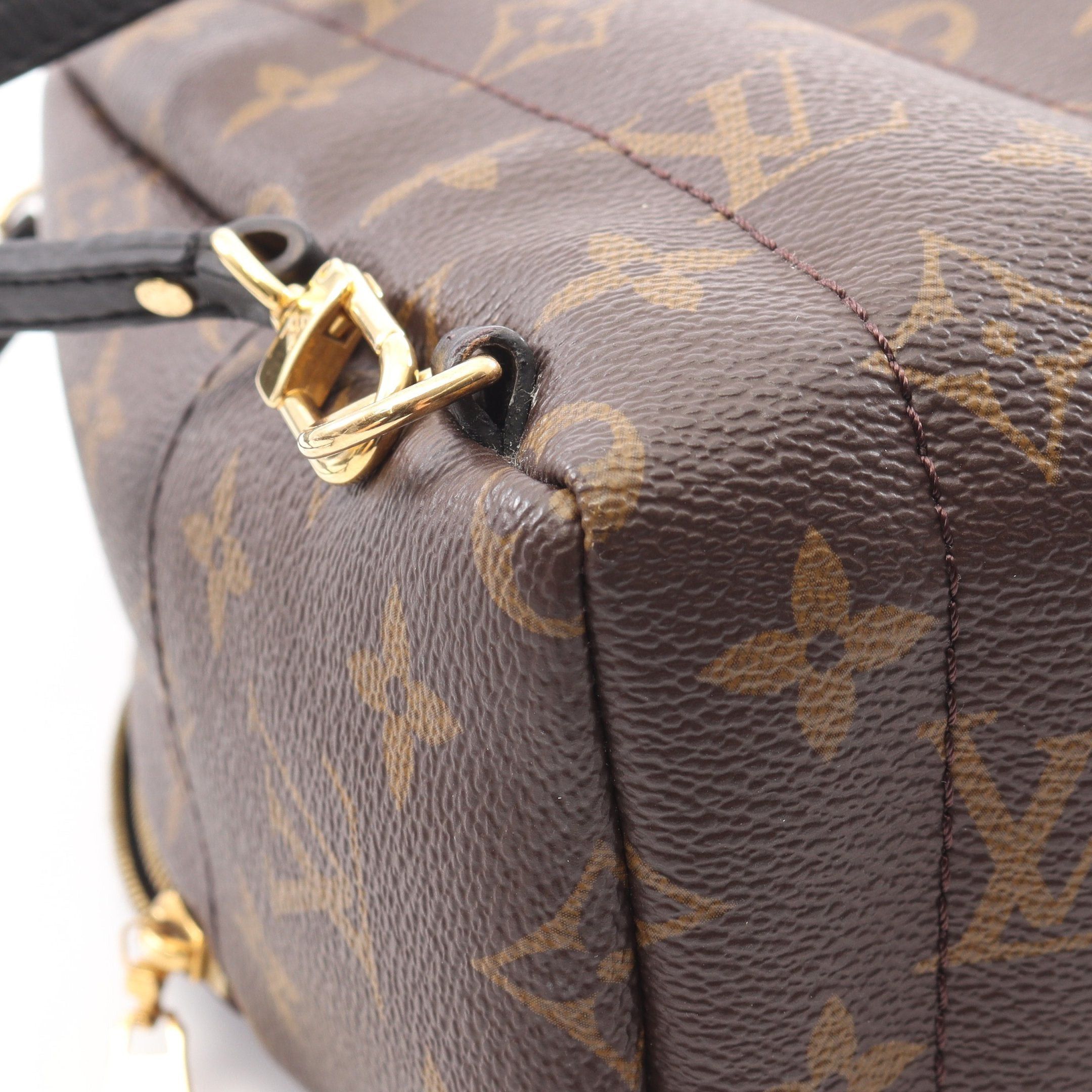 Louis Vuitton Louis Vuitton Palm Springs Backpack Mini Monogram Rucksack Leather Brown Black Size ONE SIZE - 6 Thumbnail