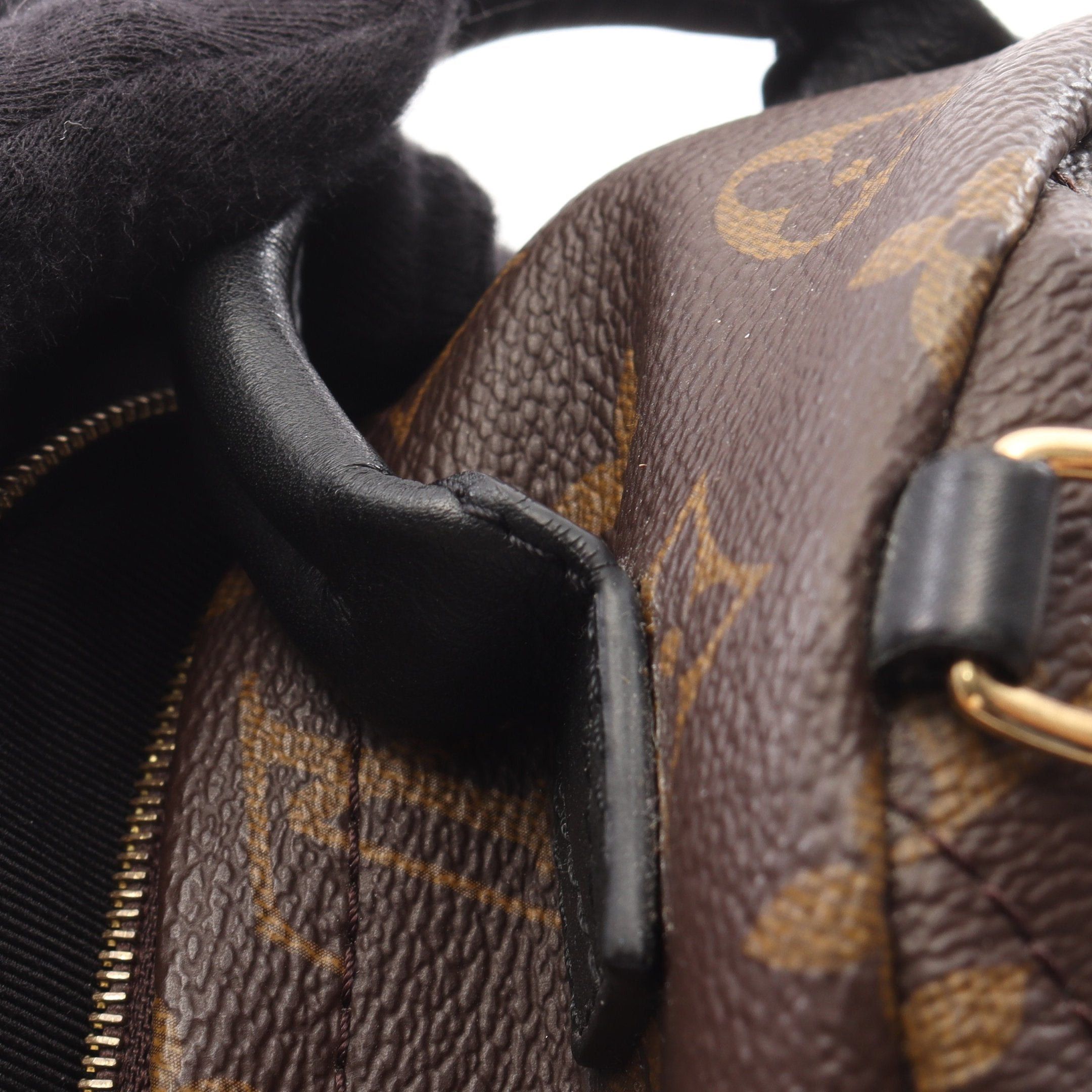 Louis Vuitton Louis Vuitton Palm Springs Backpack Mini Monogram Rucksack Leather Brown Black Size ONE SIZE - 8 Thumbnail